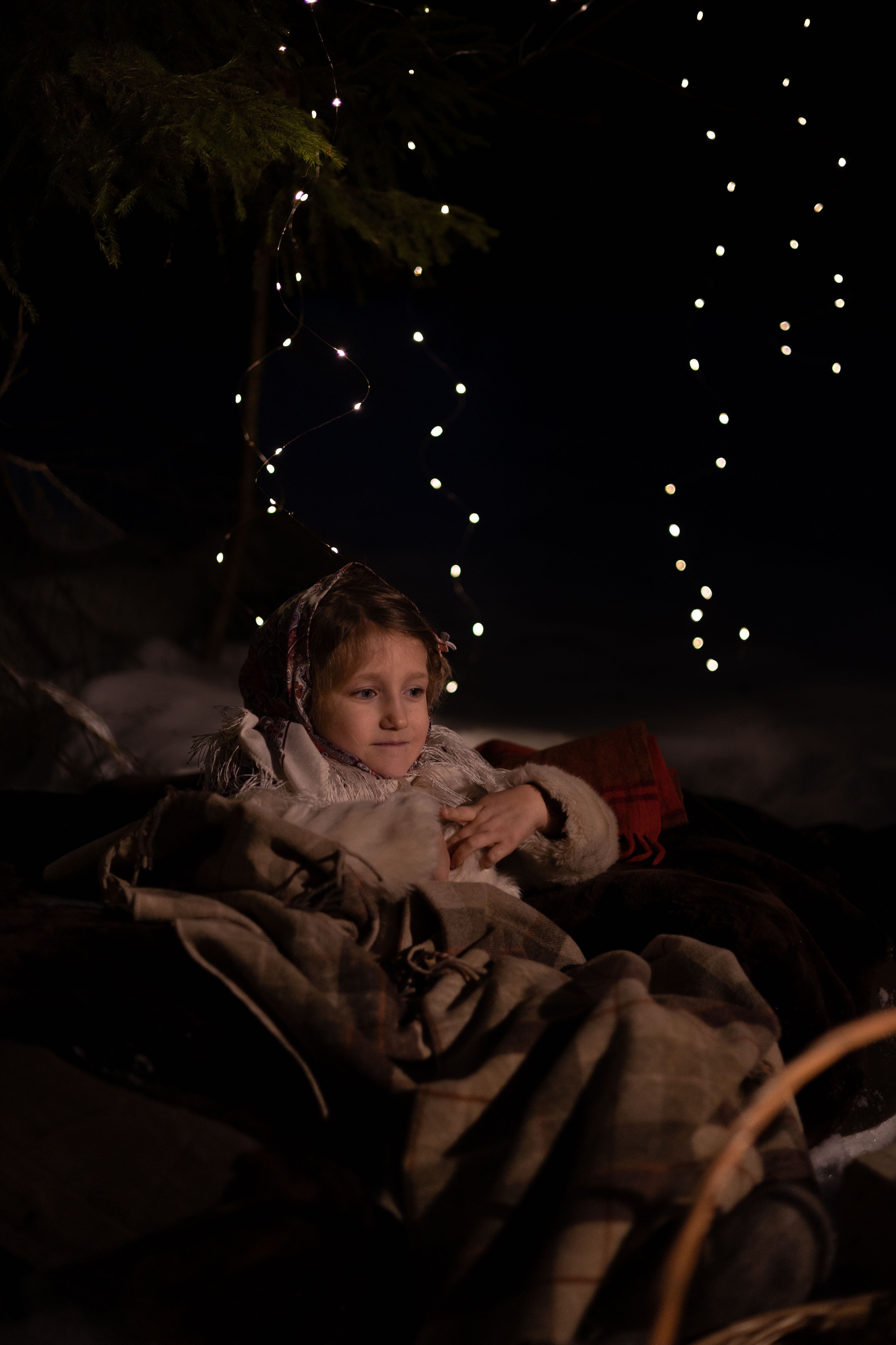 Зимний вече в лесу. Сказочный фотограф для Вас и Вашей семьи