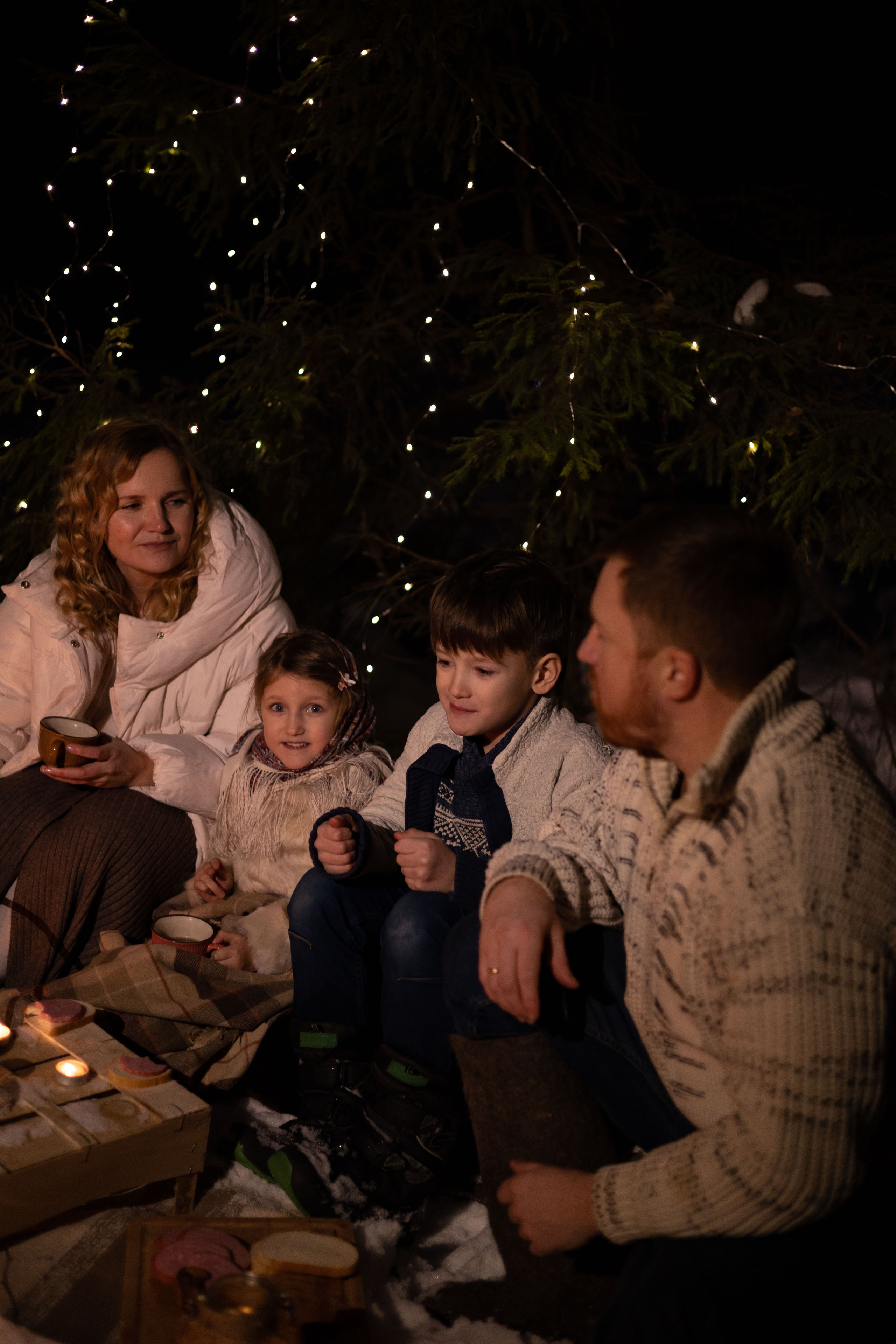 Зимний вече в лесу. Сказочный фотограф для Вас и Вашей семьи