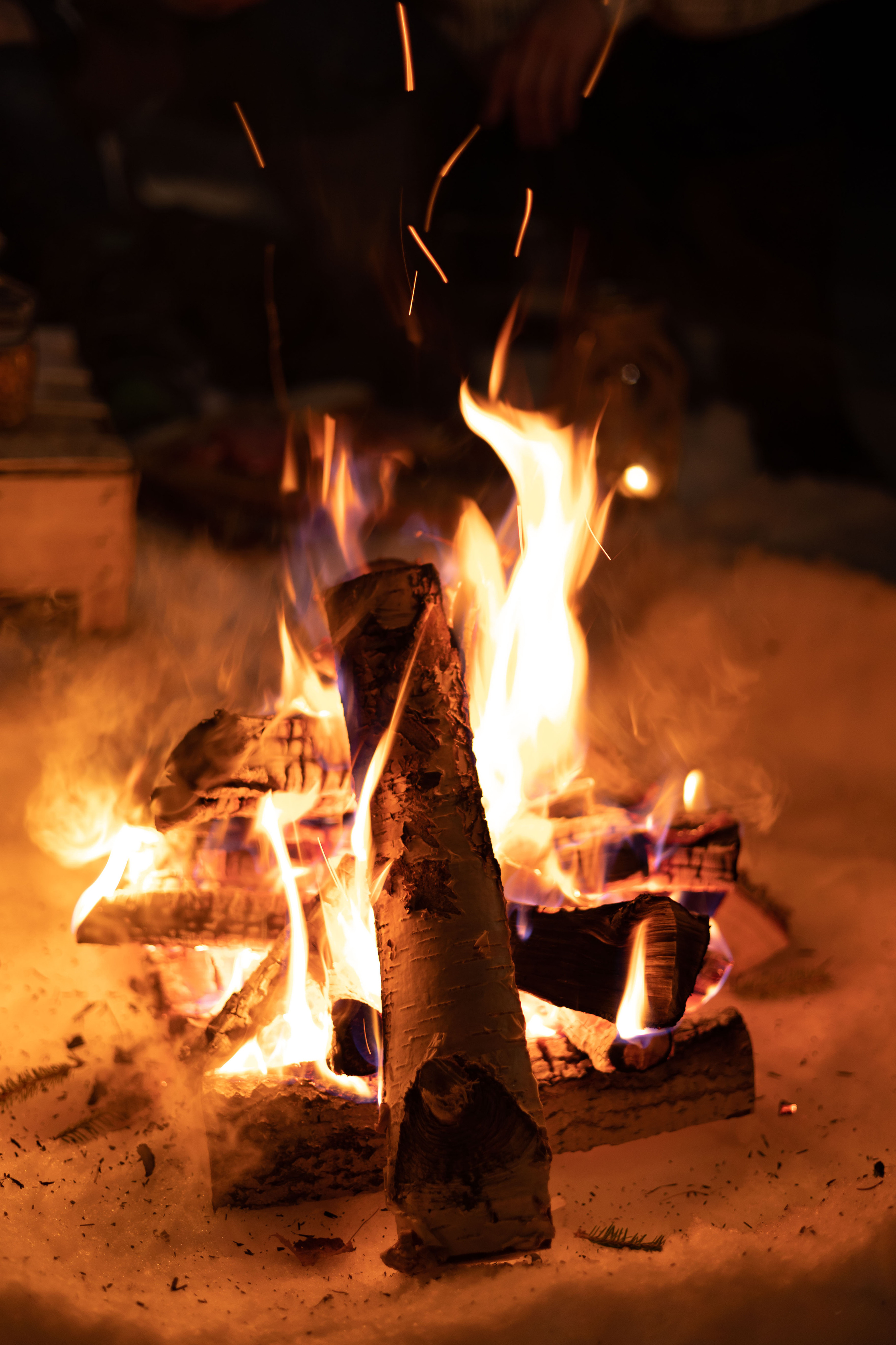 Зимний вече в лесу. Сказочный фотограф для Вас и Вашей семьи