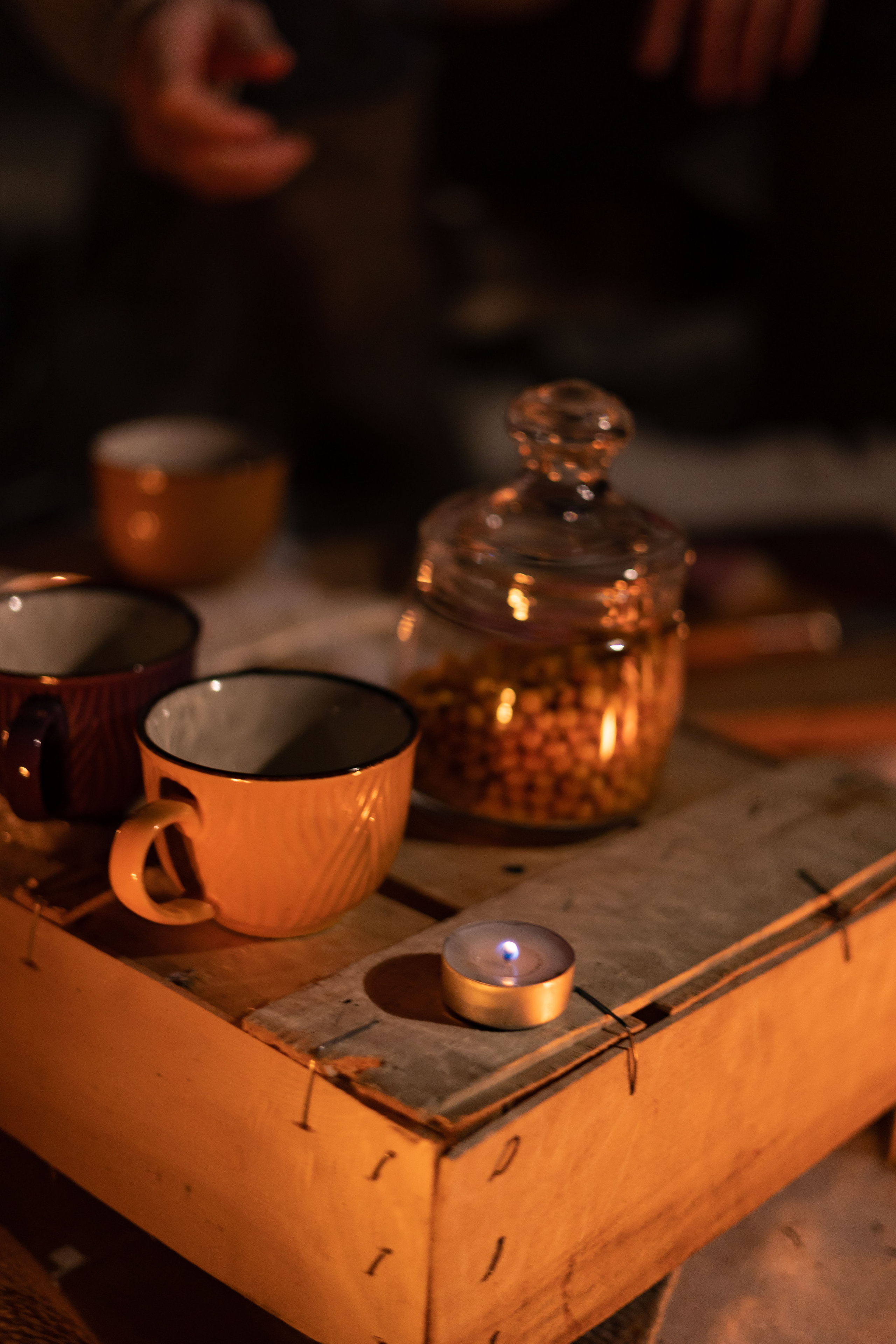 Зимний вече в лесу. Сказочный фотограф для Вас и Вашей семьи