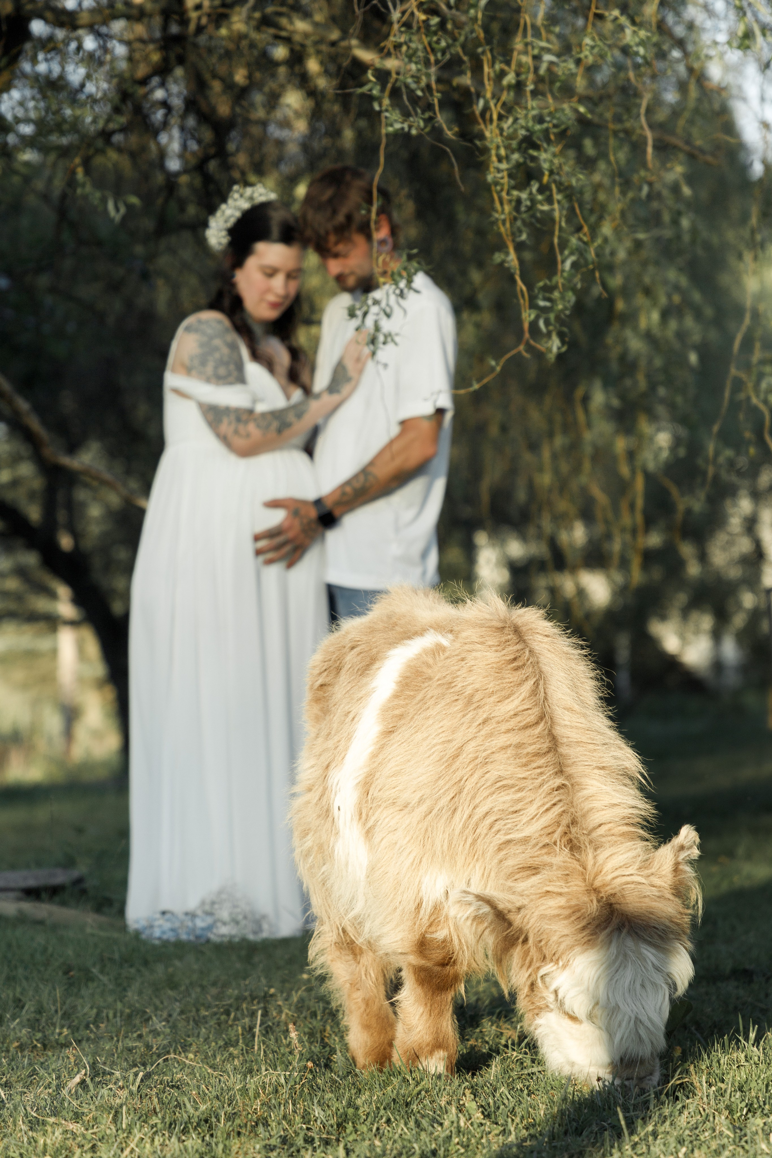 Maternity. Family photographer in Eastern Pennsylvania, Inna Nairn