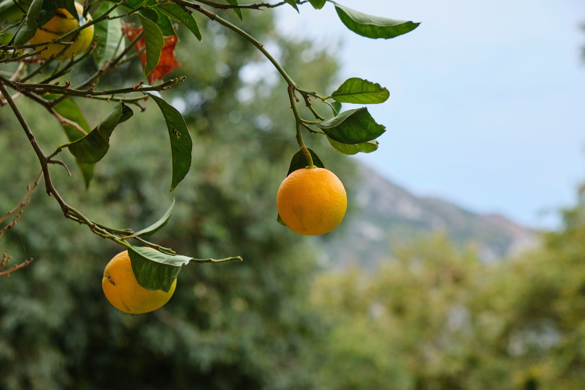 Крит 2019. Репортажный фотограф Дмитрий Литвинский. Минск, Беларусь, мир