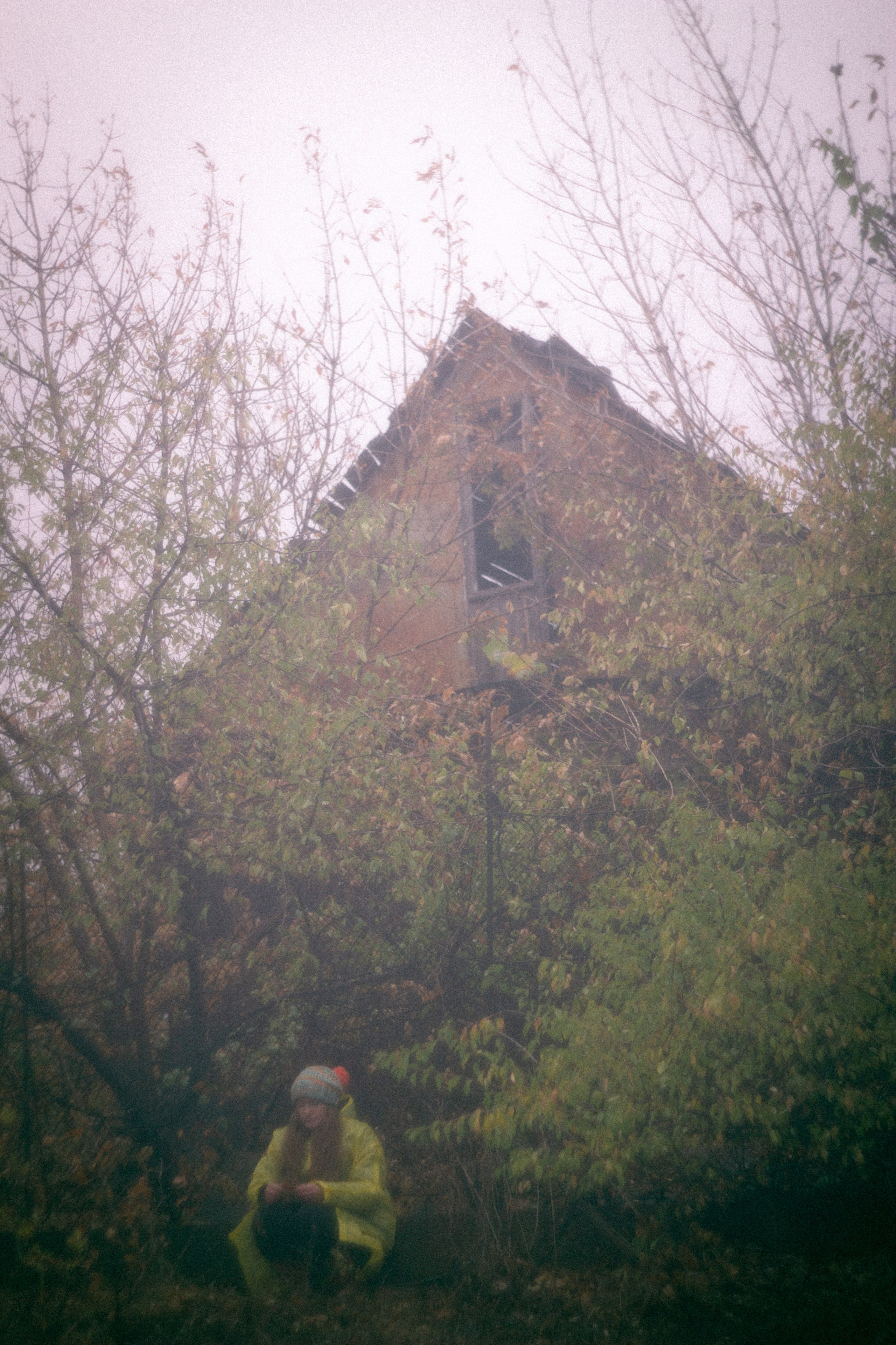 Туманная осень. • Фотограф Александра Светозар Алчевск •