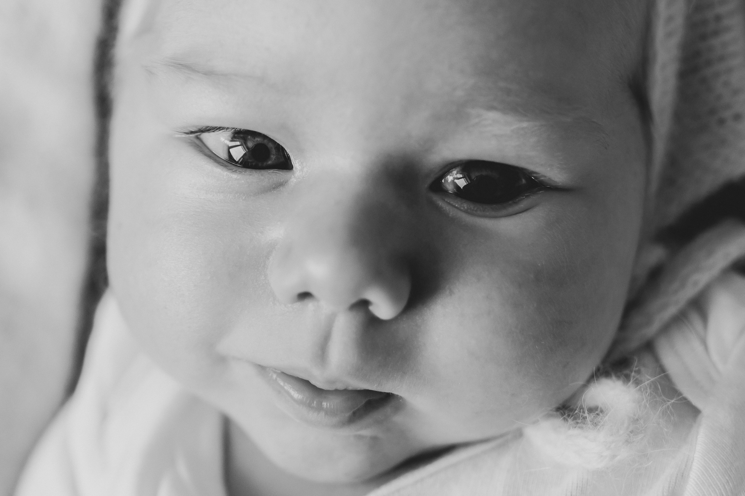 Sveta Dima Kira & Artem. Natalia Finch Photography — Family, Kids & Pet Photographer in Chicago, IL