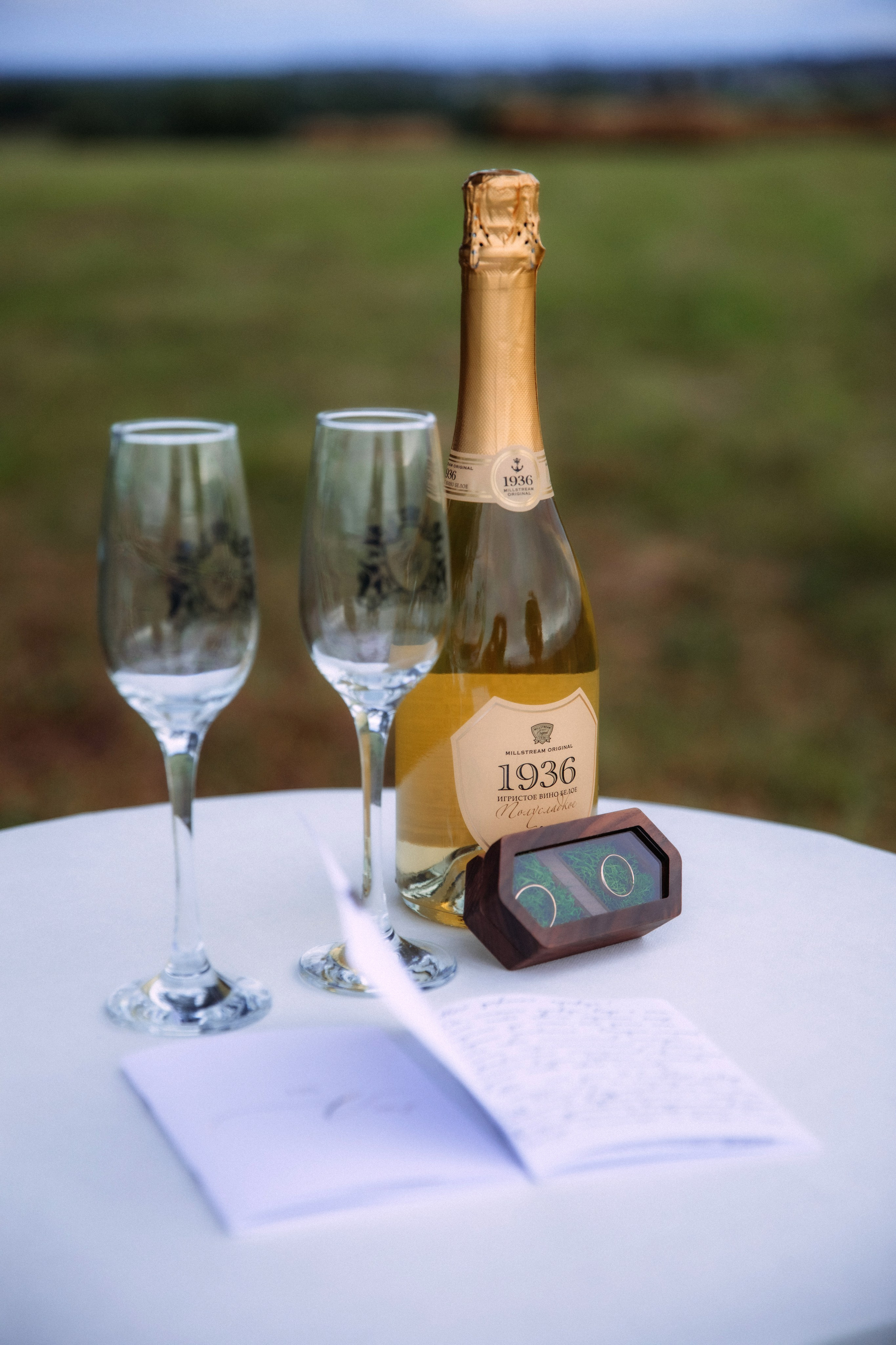 АДЕЛИНА И РОСТИСЛАВ. Женский и семейный фотограф Елена Петрова