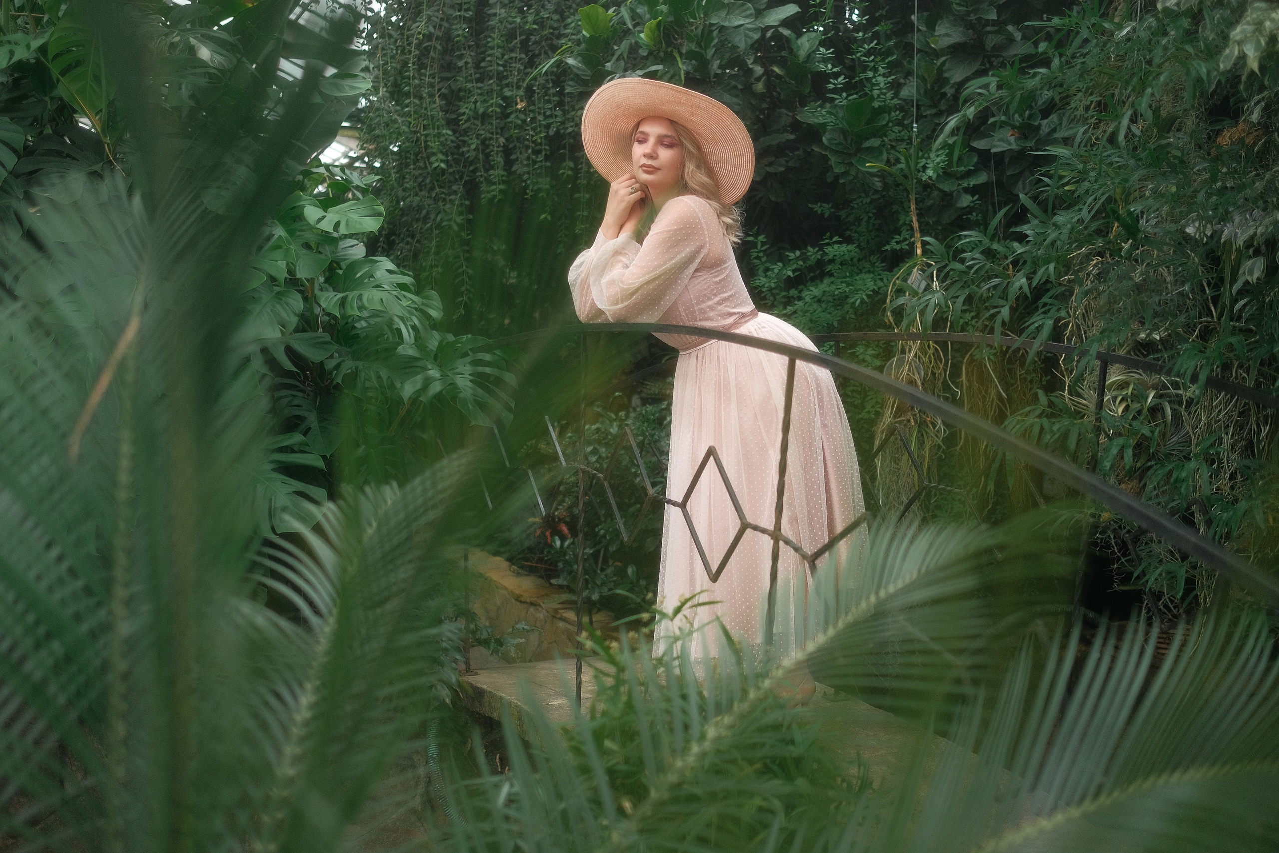 Greenhouse. Aleksandr Schafft