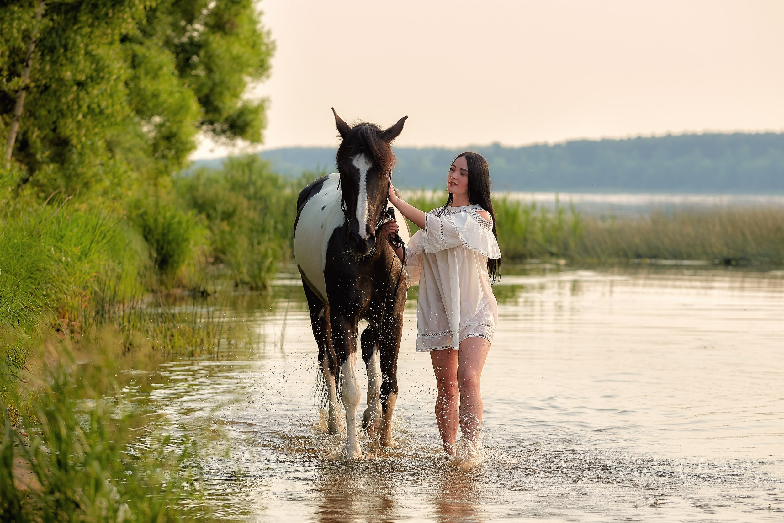 Фотосессия с лошадьми, Фотограф Михаил Семенов г. Ярославль