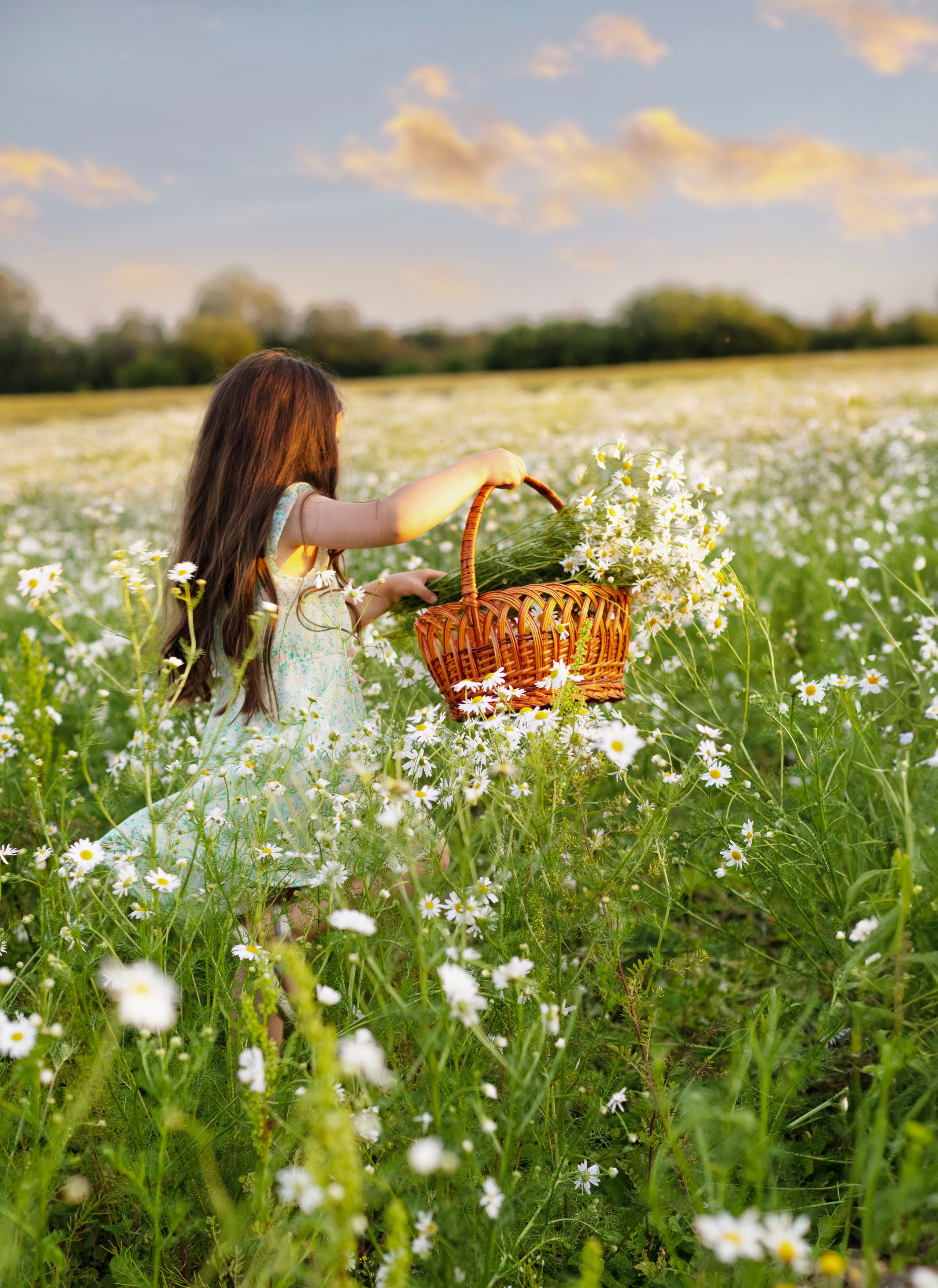 Мария и София фотосъёмка в поле с ромашками. Семейный и детский фотограф в Ногинске
