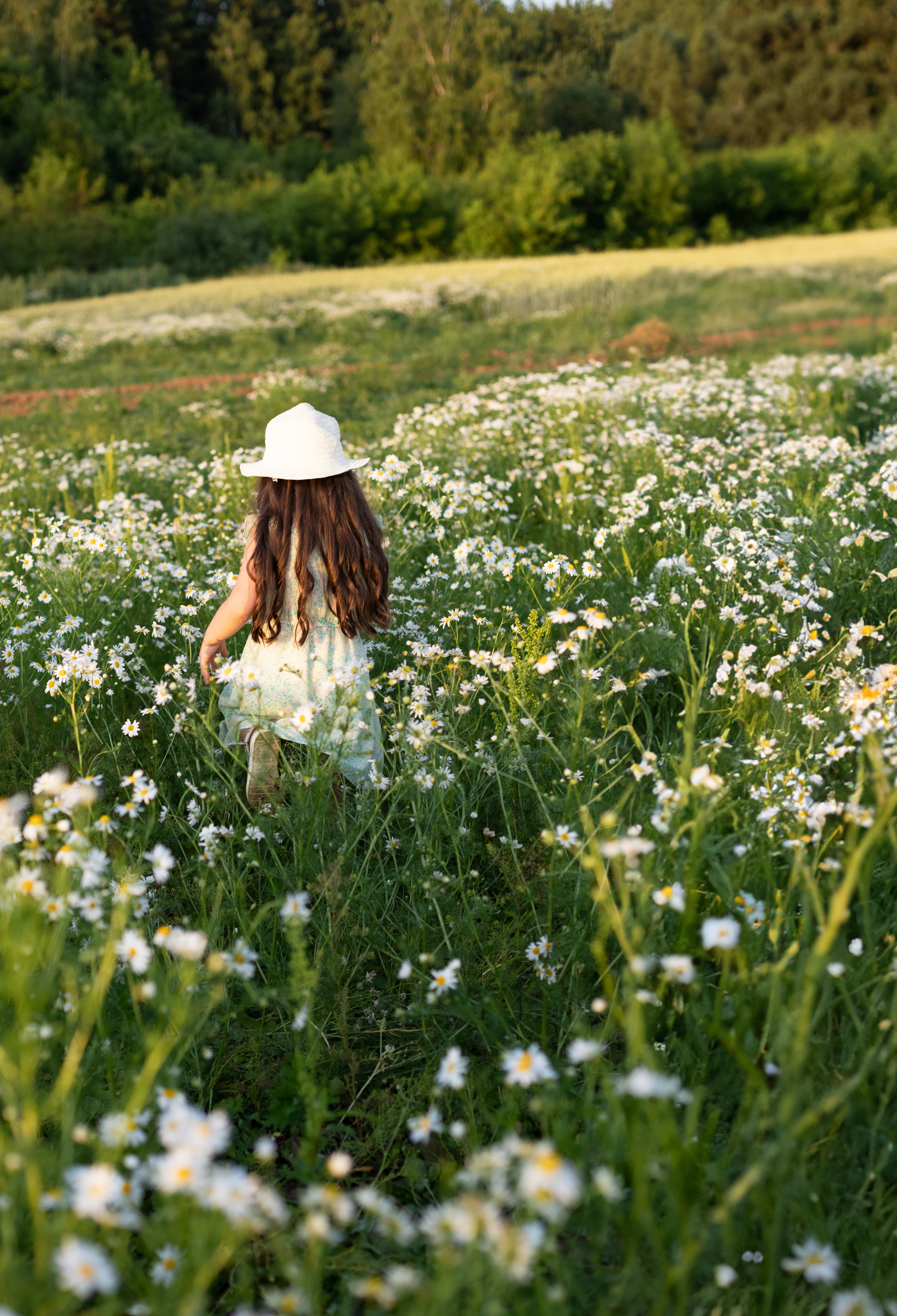 Мария и София фотосъёмка в поле с ромашками. Семейный и детский фотограф в Ногинске