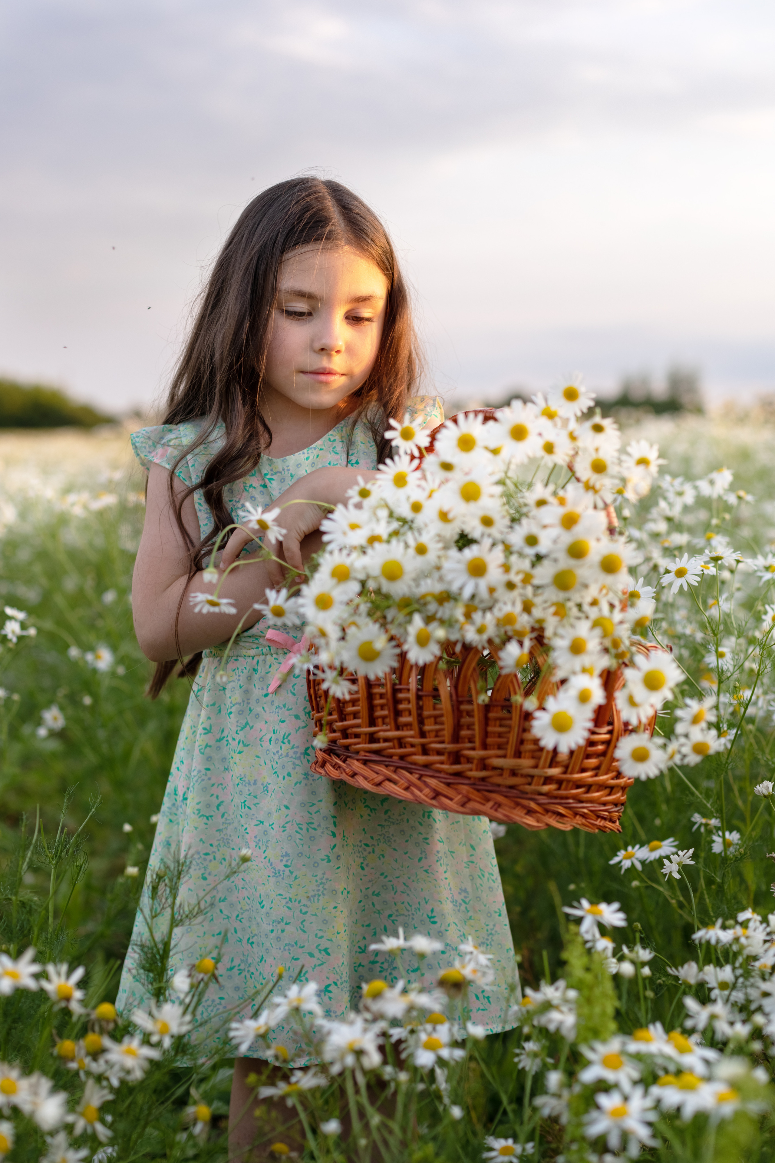 Мария и София фотосъёмка в поле с ромашками. Семейный и детский фотограф в Ногинске