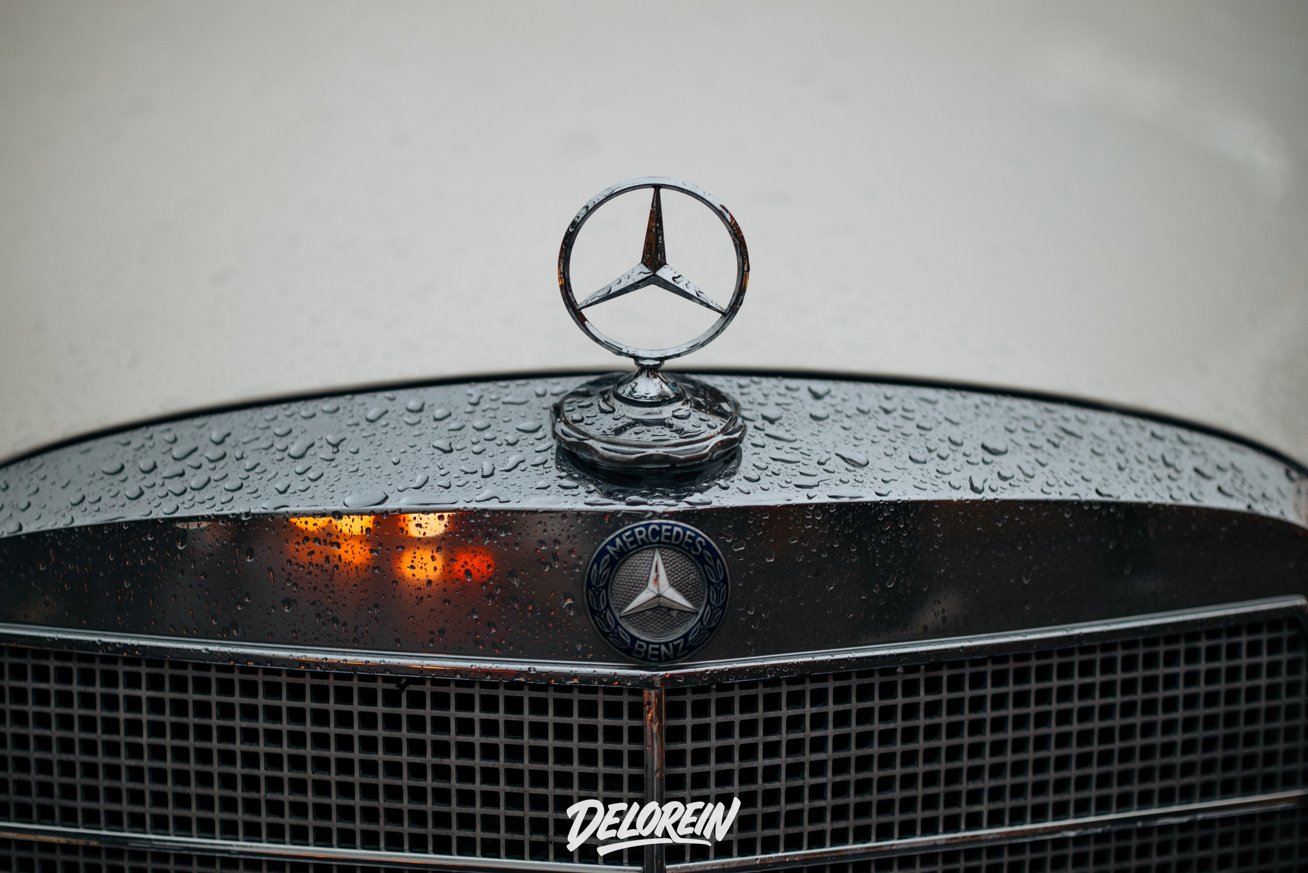 CIAY meet 27 сентября 2025. DeLorein