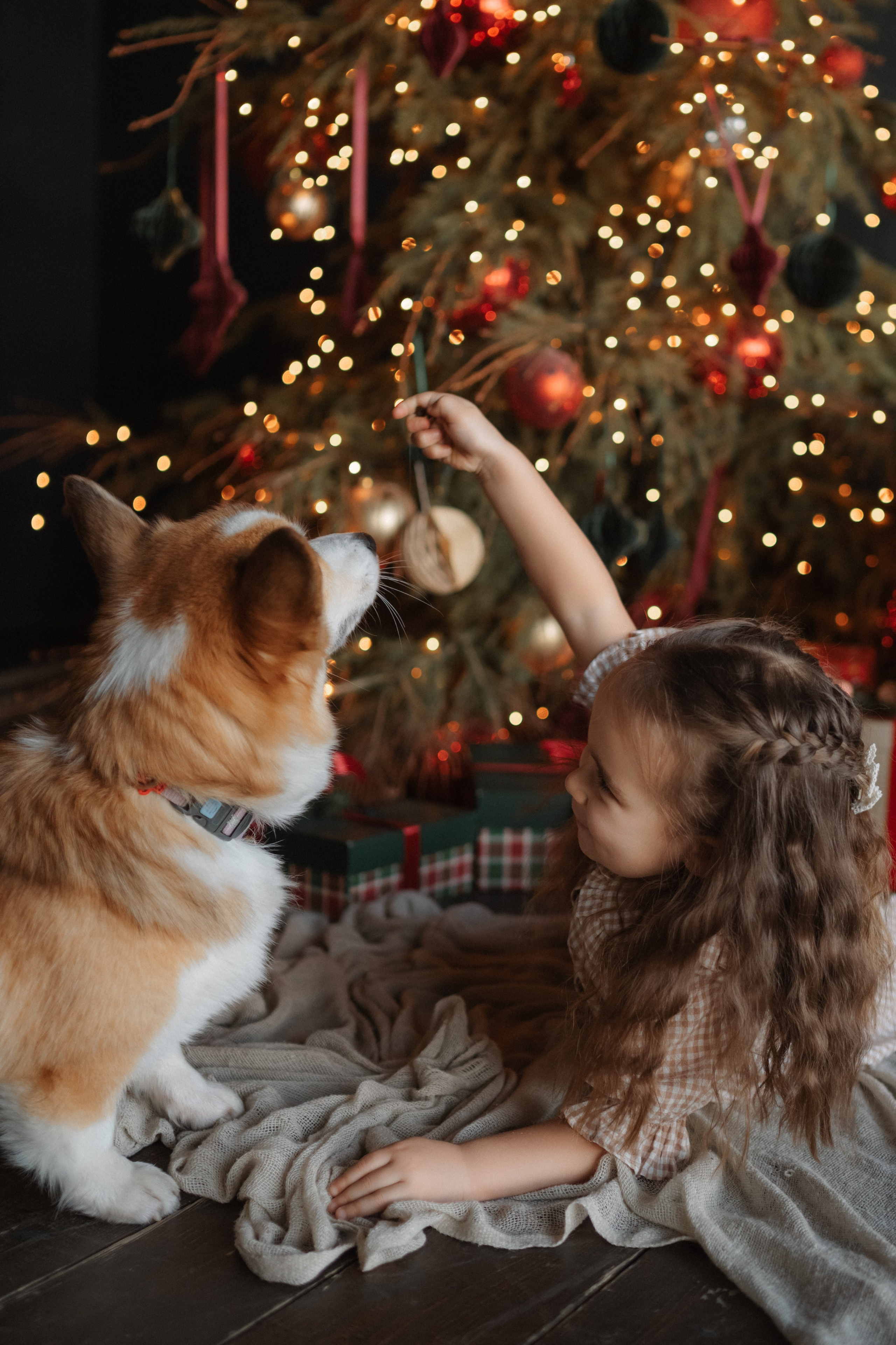 Лада, Алиса, Андрей и Фифи. Дьяконова Валерия семейный и детский фотограф в Санкт-Петербурге