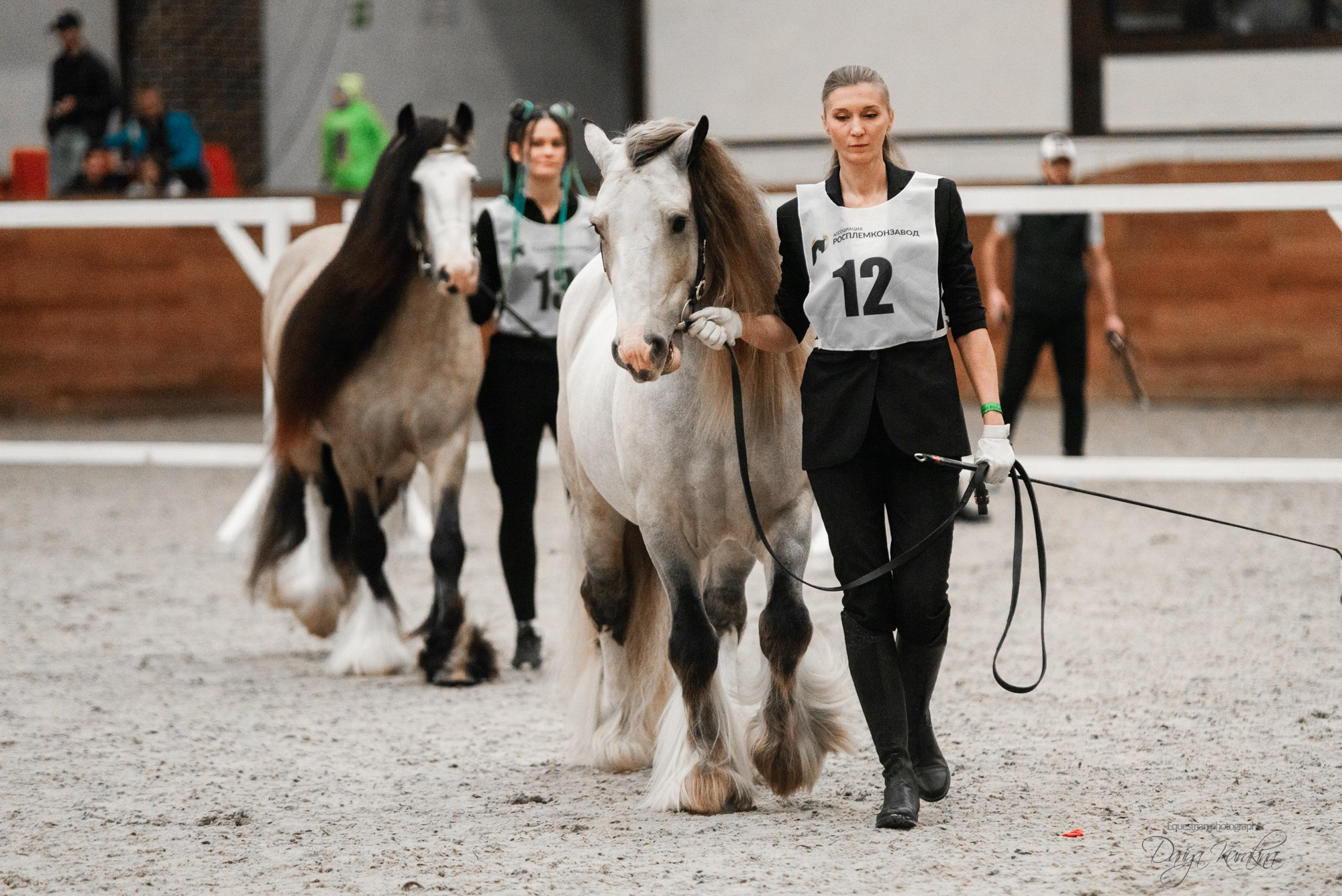 8-я международная выставка Конная Россия. Конный фотограф Куракина Дарья • Фотосессии с лошадьми