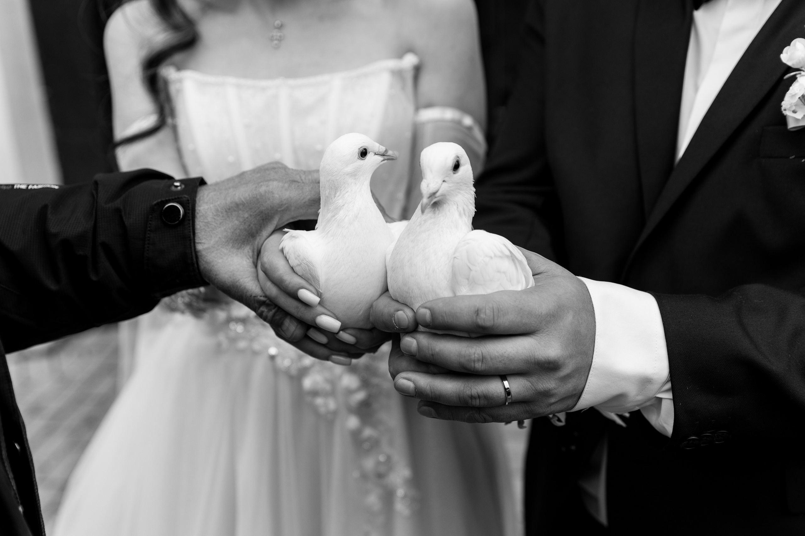 Артём Мэри Свадьба. Գլխավոր