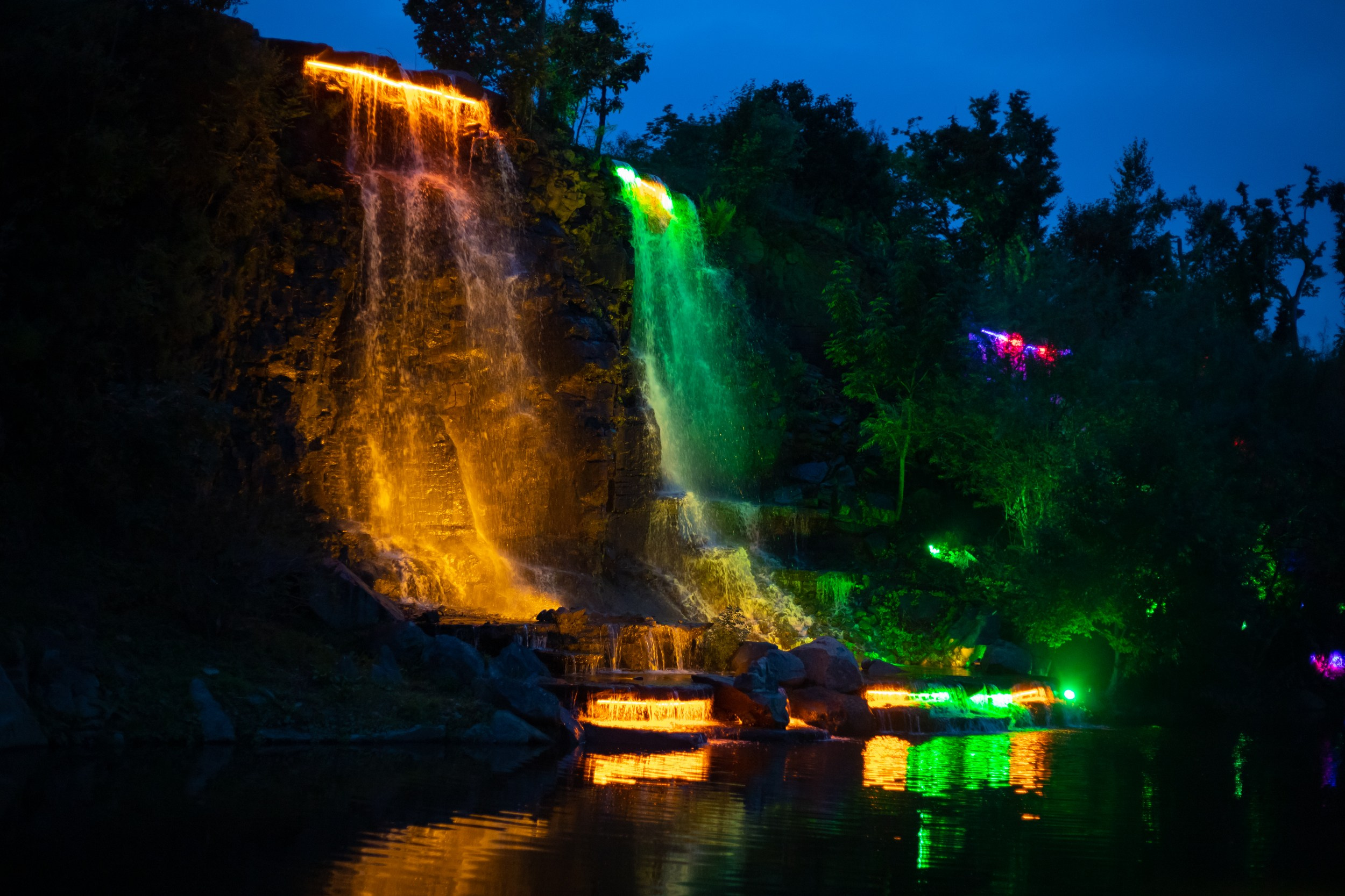 ВЭФ 2023. Репортажный и студийный фотограф во Владивостоке Дударева Софья