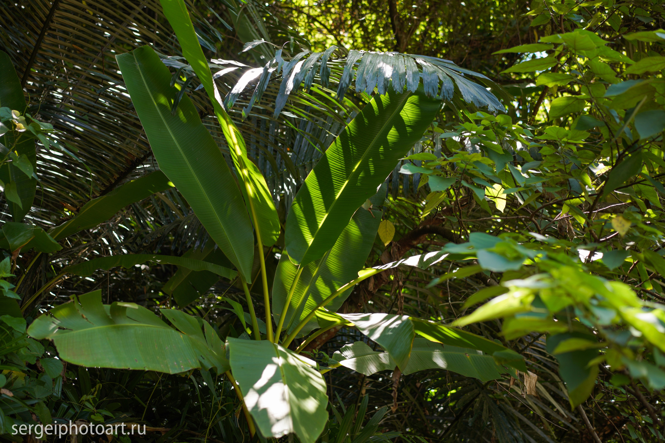 Дананг. Фотограф Сергей Кишкель Дананг Нячанг Фукуок