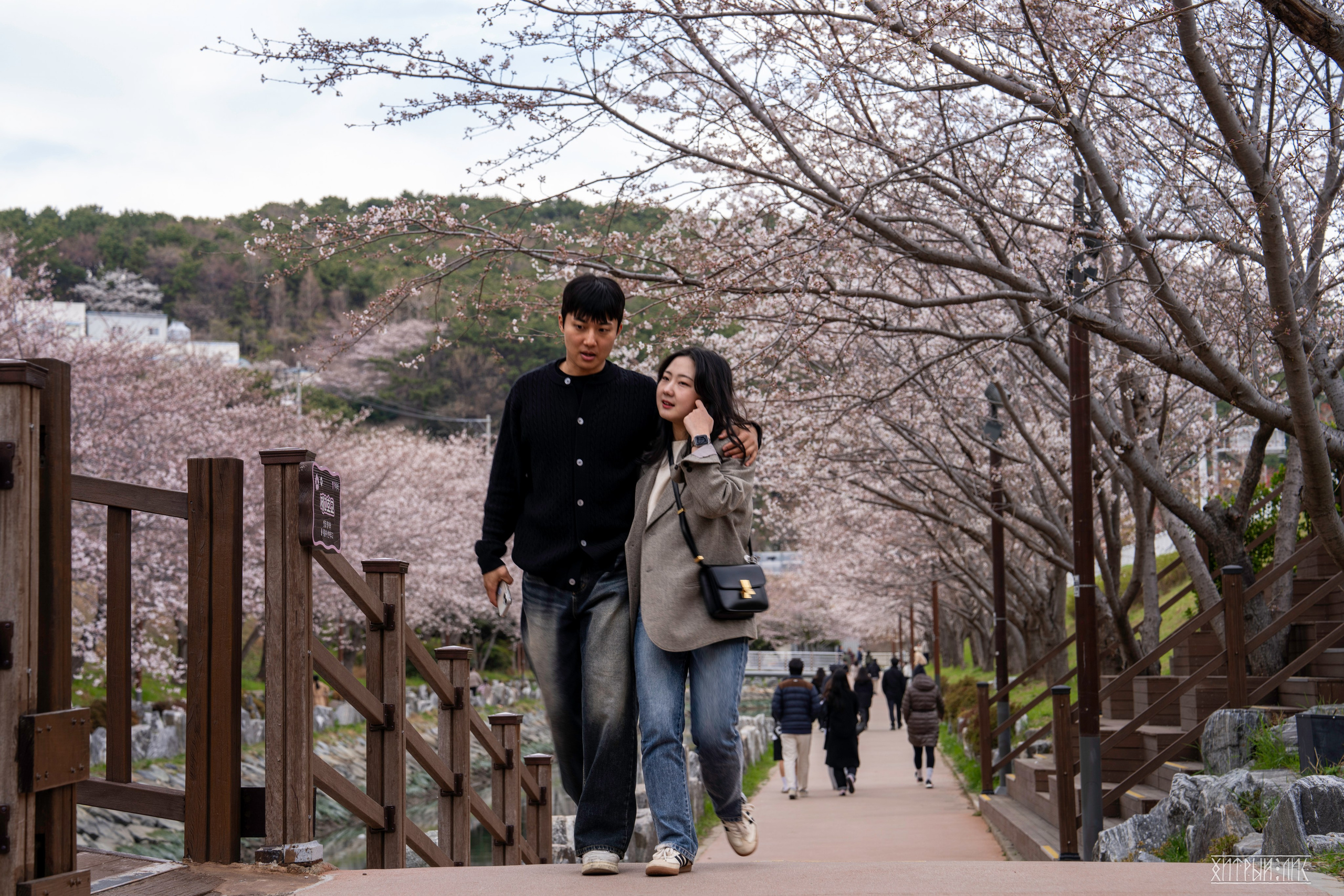 Южная Корея. Фотограф-путешественник Самойлов Максим «Sly Fox»