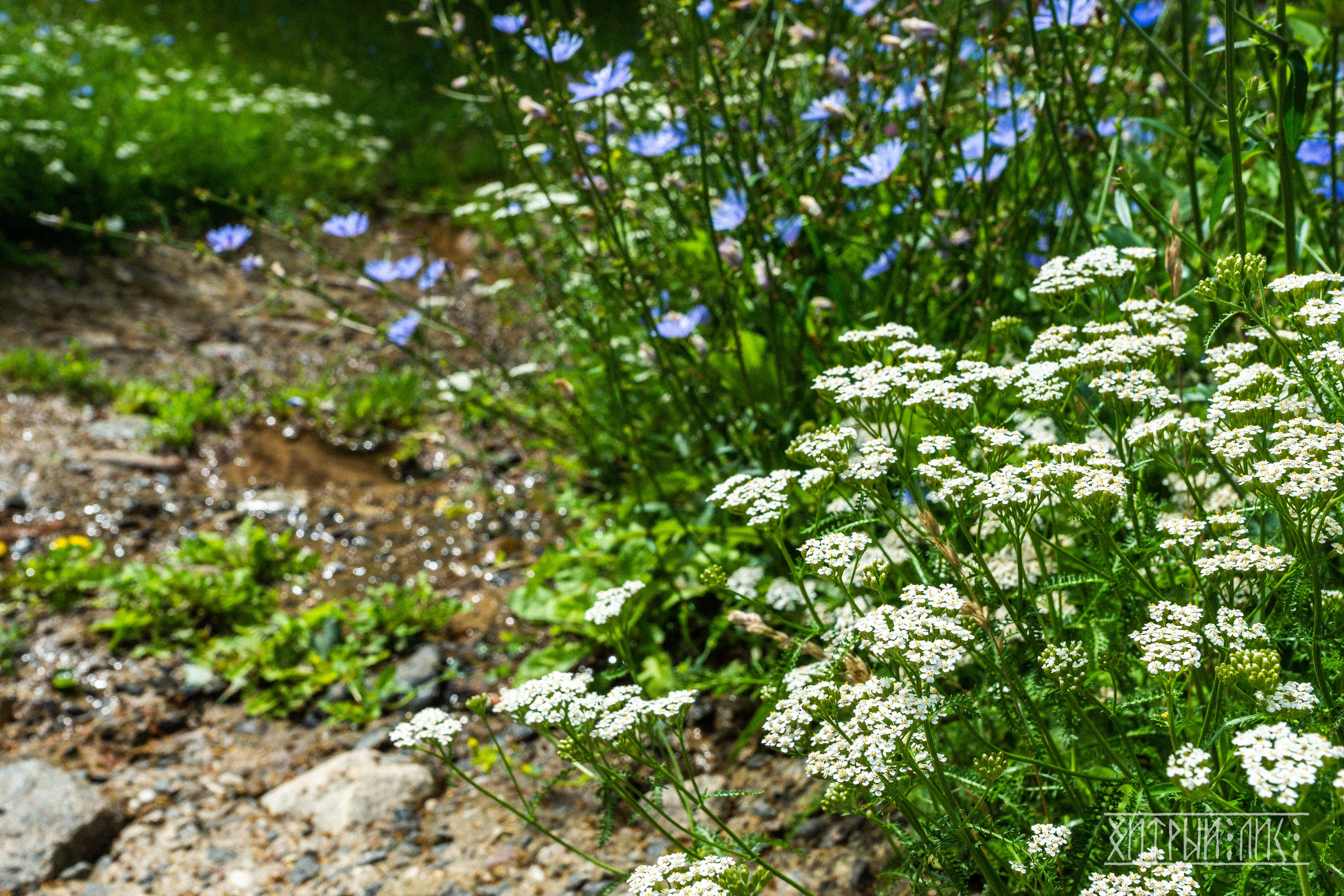 Беларусь. Фотограф-путешественник Самойлов Максим «Sly Fox»