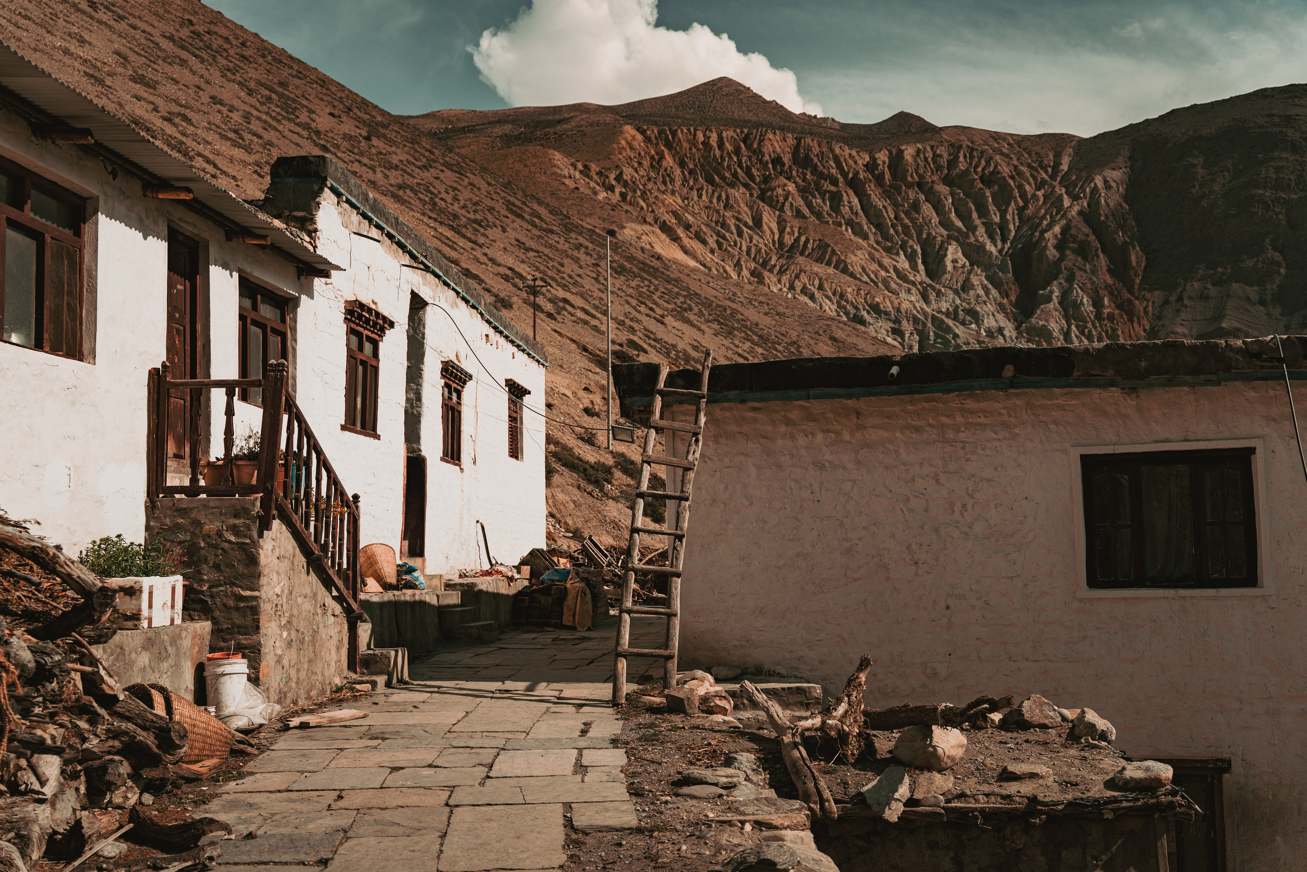 Королевство Мустанг. Dmitry Ippolitov