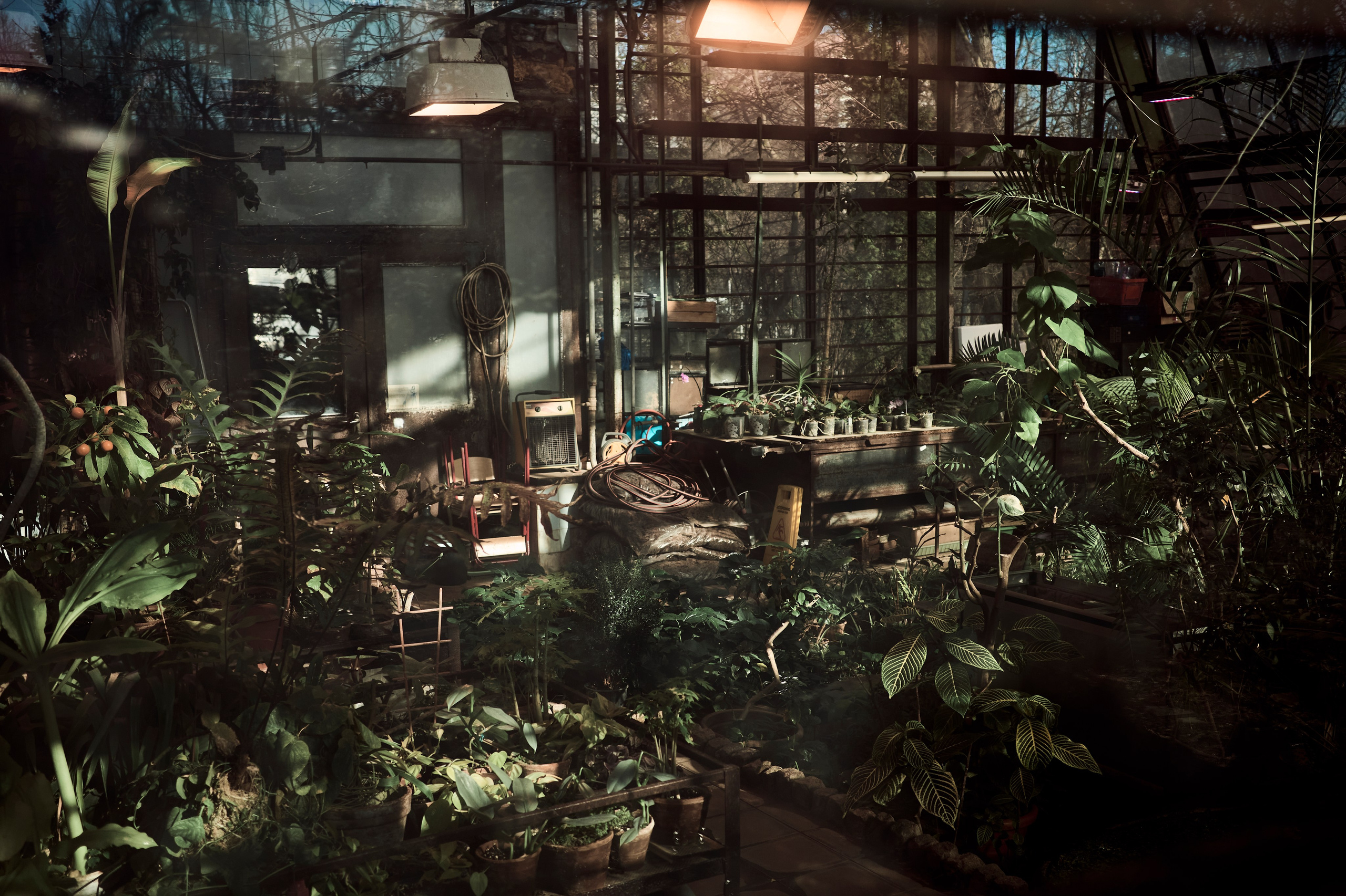 Other. Dmitry Ippolitov