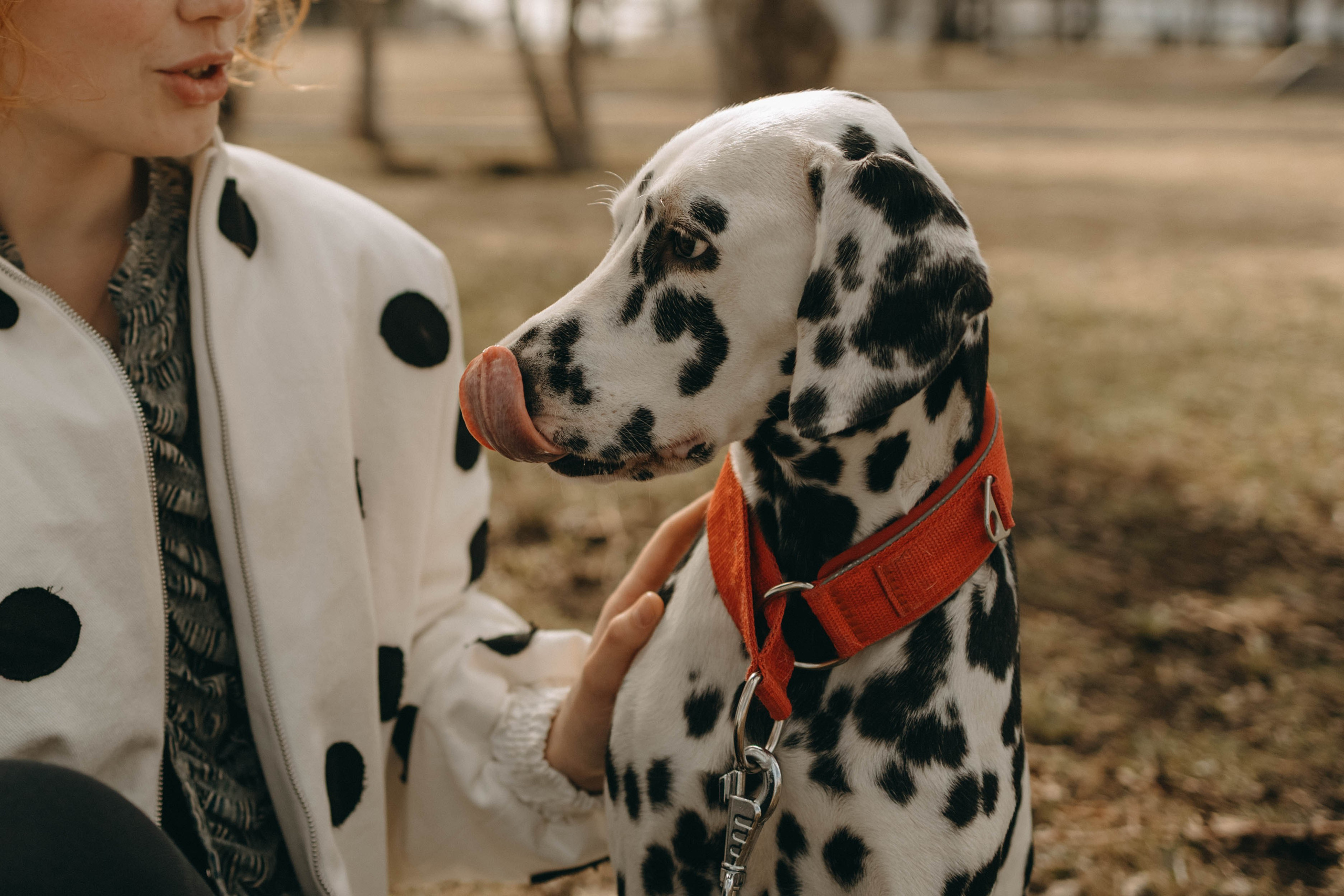 Диана и Лекса. Фотограф-анималист в Екатеринбурге | Кристина