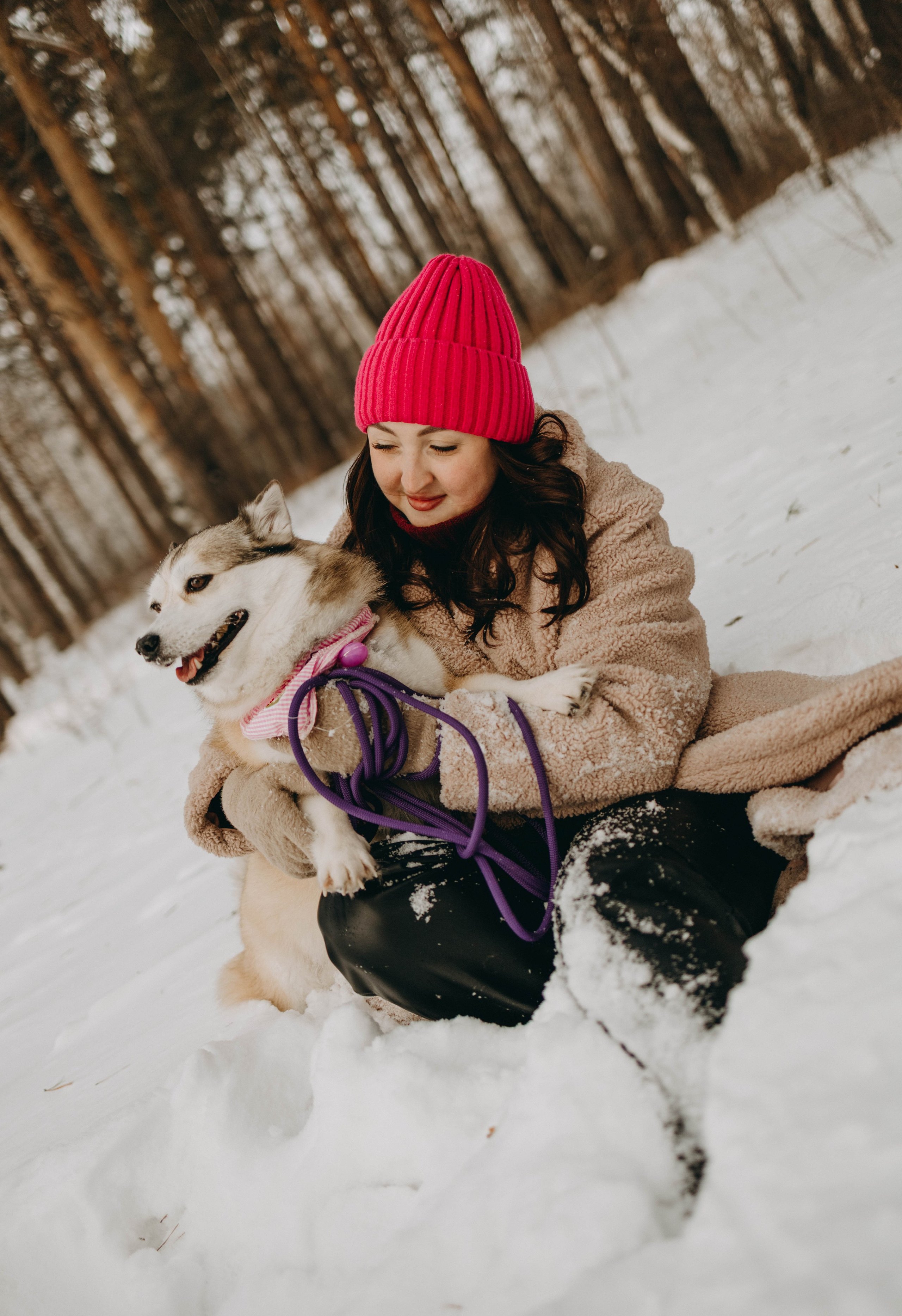 Варвара и Шелби. Фотограф-анималист в Екатеринбурге | Кристина
