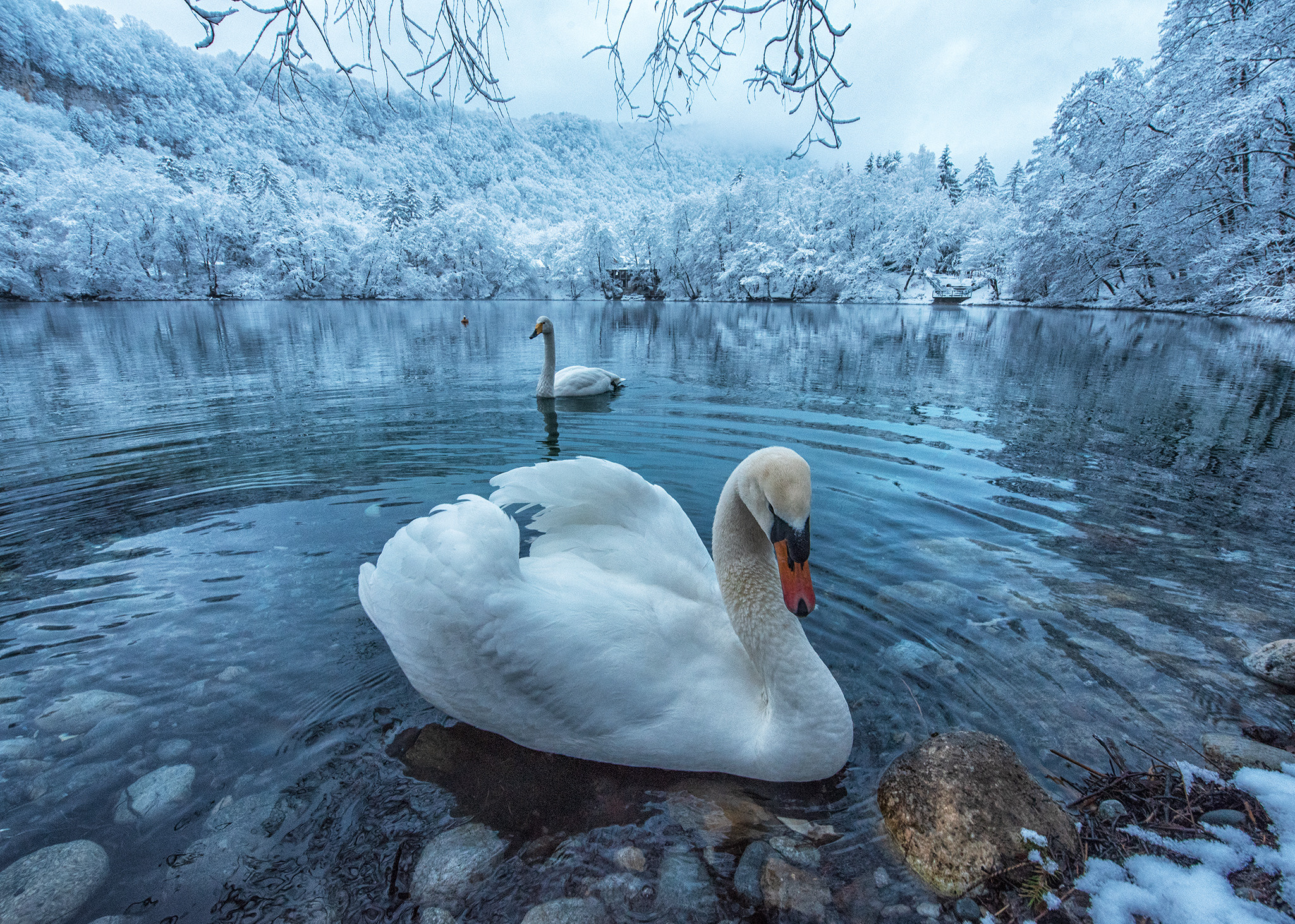 Пейзажи фотографа Андрея Кривошеина. Профессиональная фотосъемка. Ростов-на-Дону