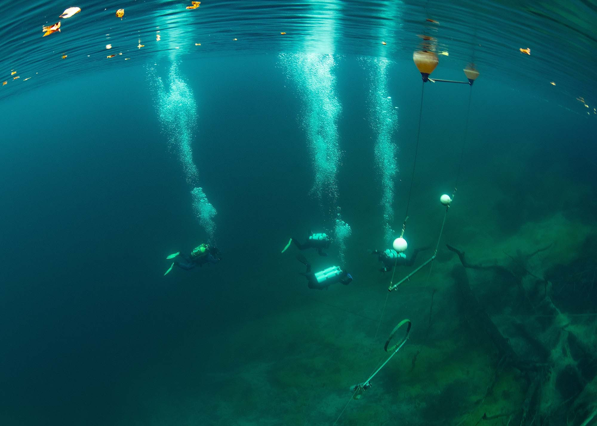 Дайвинг и фридайвинг. Профессиональная фотосъемка. Ростов-на-Дону