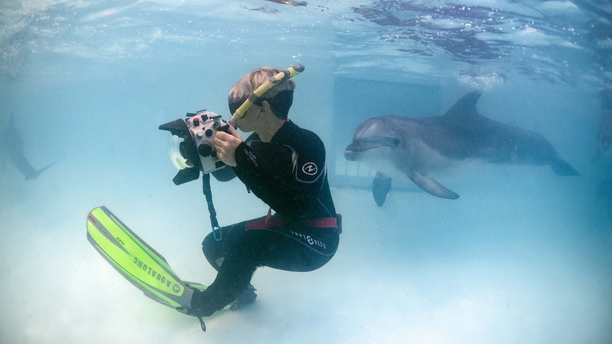 Подводная фотосъемка в бассейне. Профессиональная фотосъемка. Ростов-на-Дону