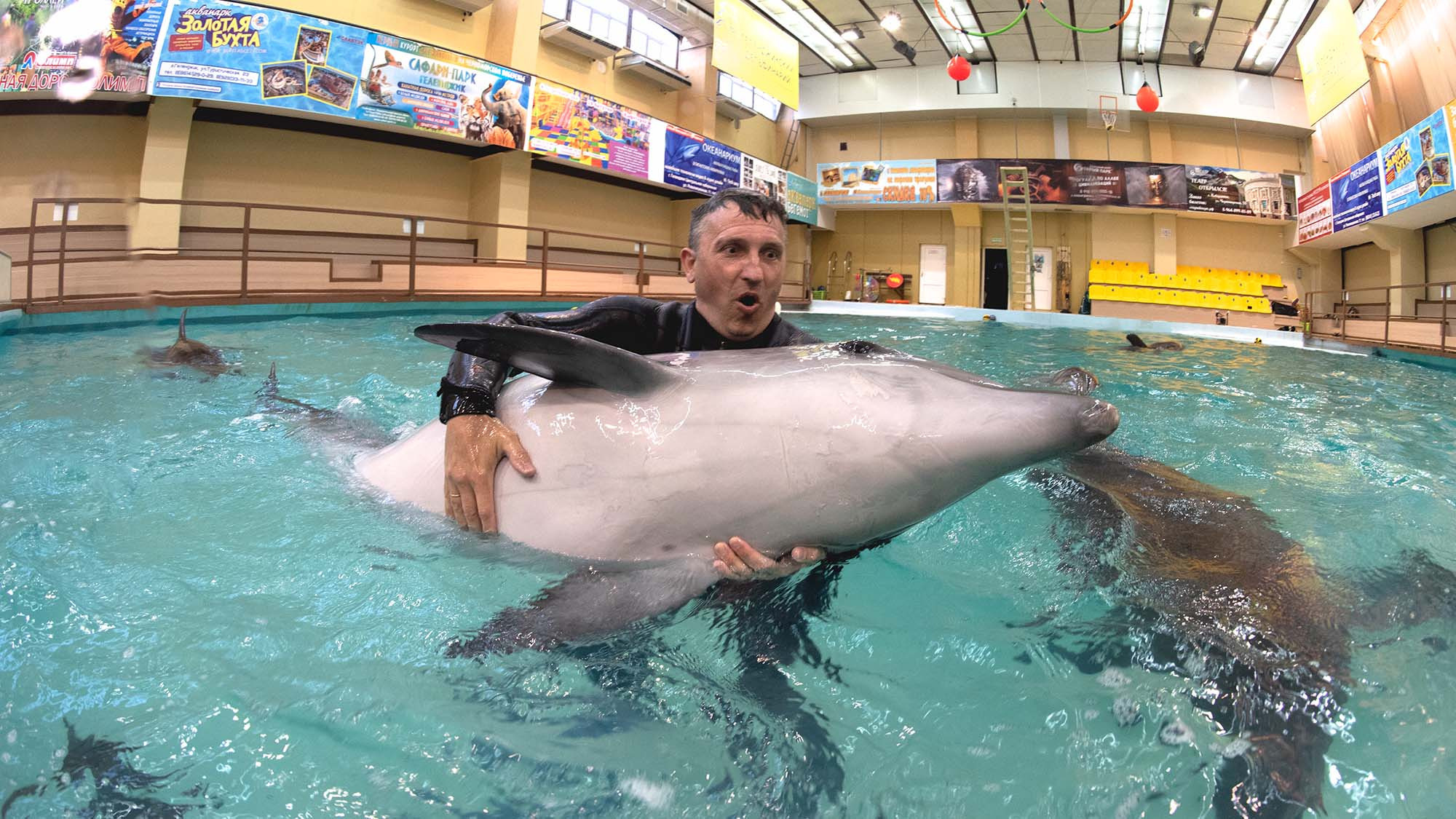 Подводная фотосъемка в бассейне. Профессиональная фотосъемка. Ростов-на-Дону