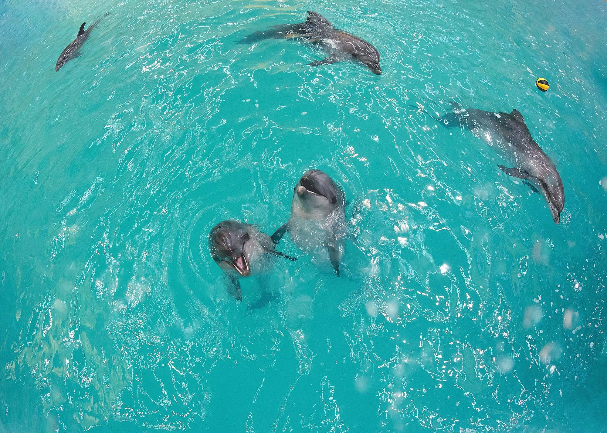 Подводная фотосъемка в бассейне. Профессиональная фотосъемка. Ростов-на-Дону