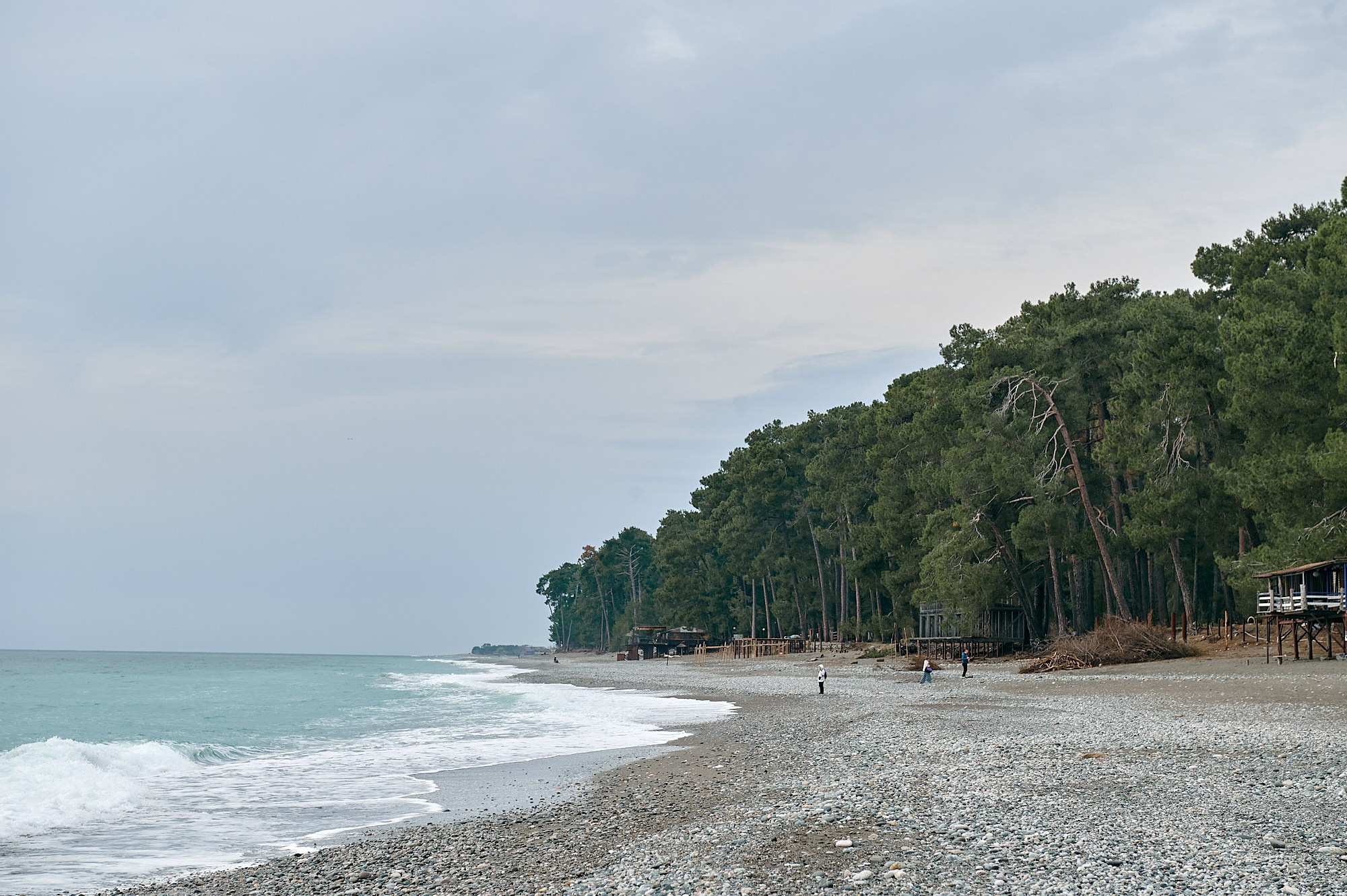 Пицунда, Абхазия. Декабрь 2024. Фотографии отовсюду и обо всем
