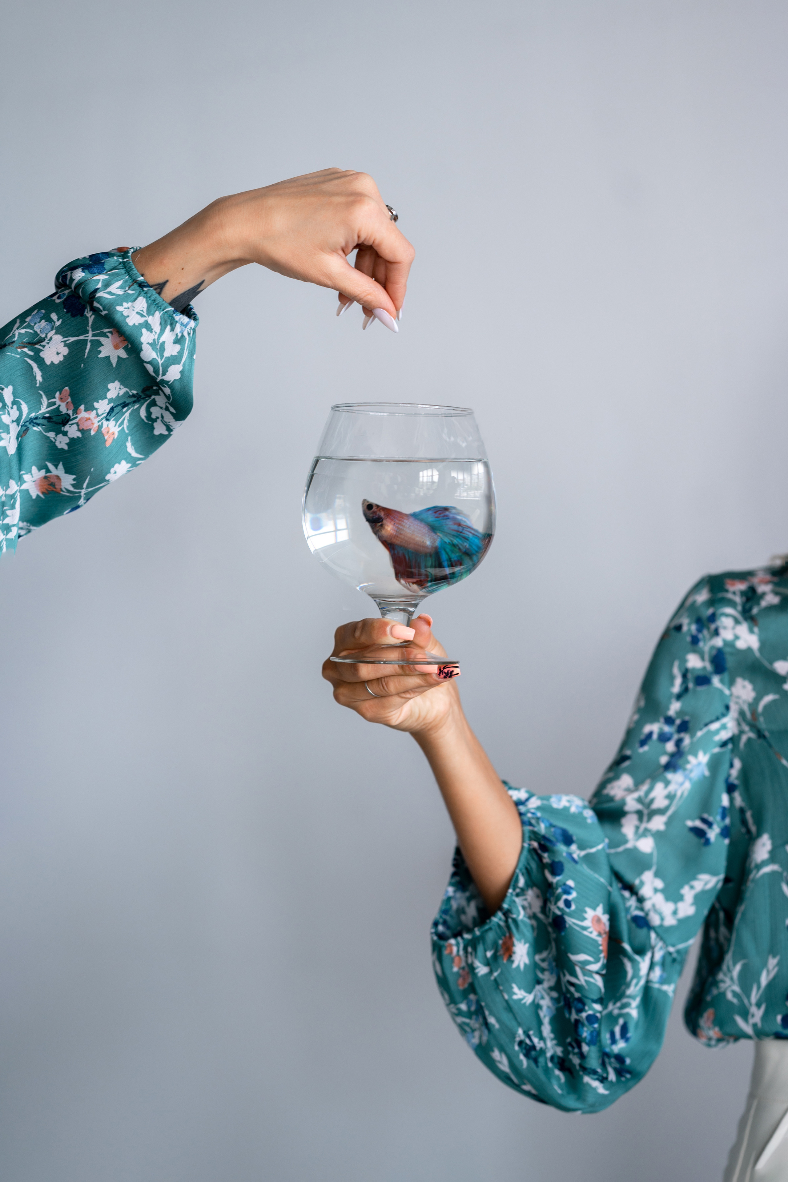 IRENA MIR. Фотограф Юлия Павлова Красноярск