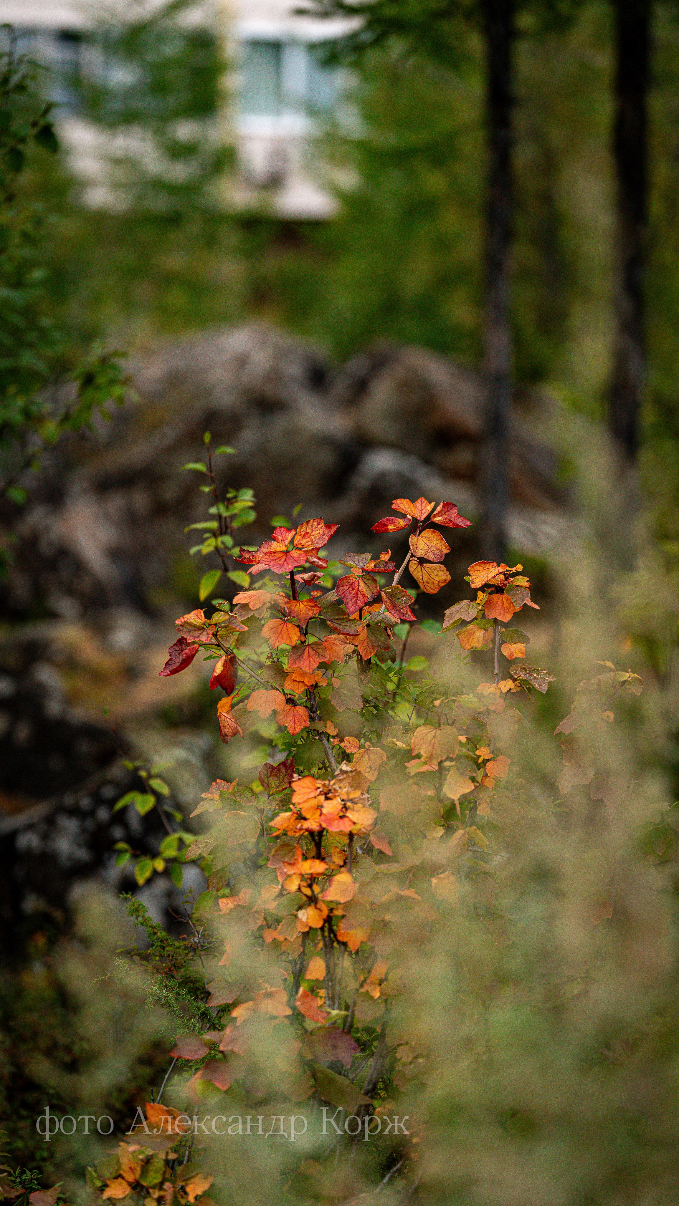 Фотографии Северного поселка Айхал. Фотографии и видеосъемка, Айхал, Удачный, Якутия. Фотографии Айхал
