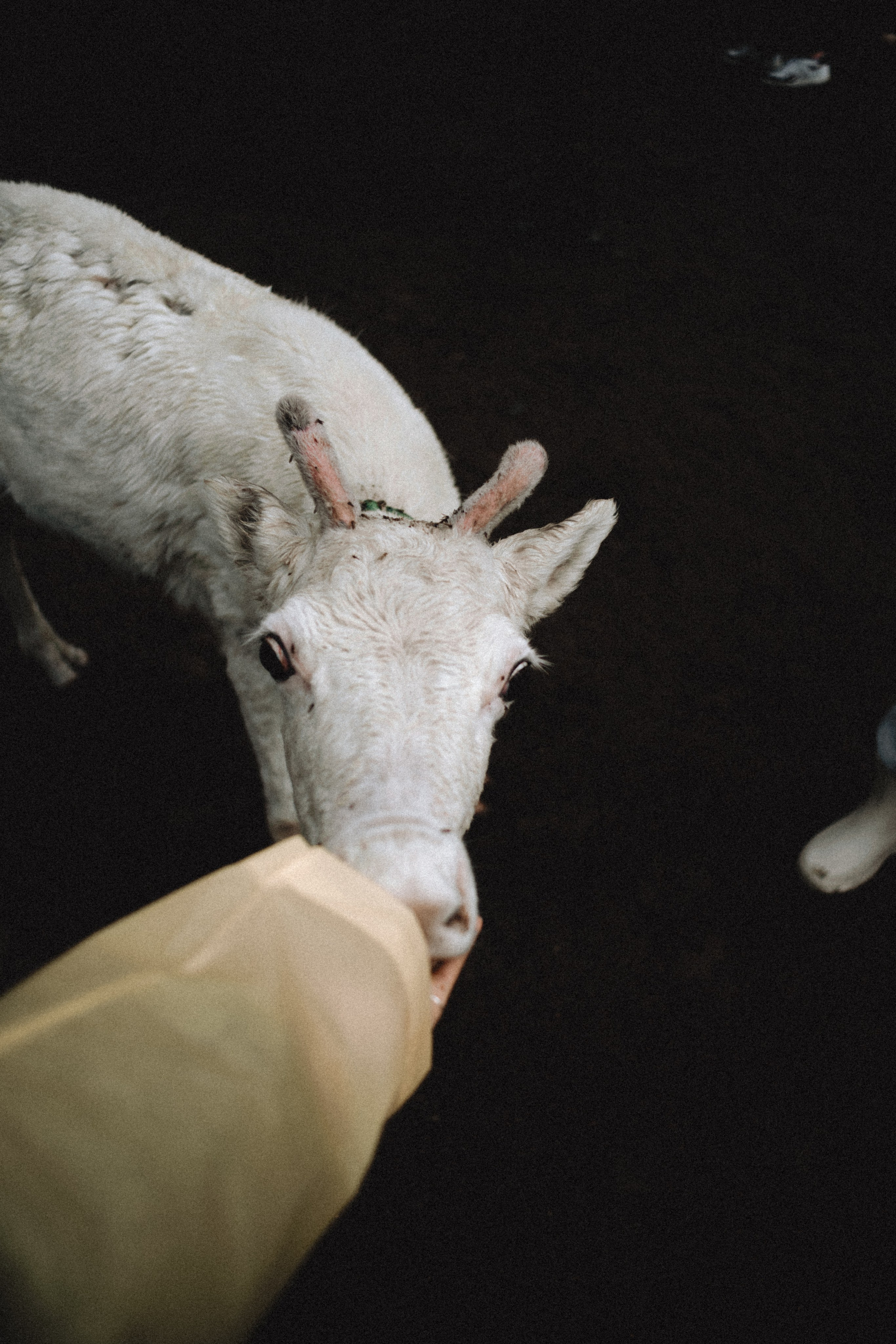 Териберка, Мурманск. Фотосъёмка для компании по организации туров в коллаборации с Яндекс 360