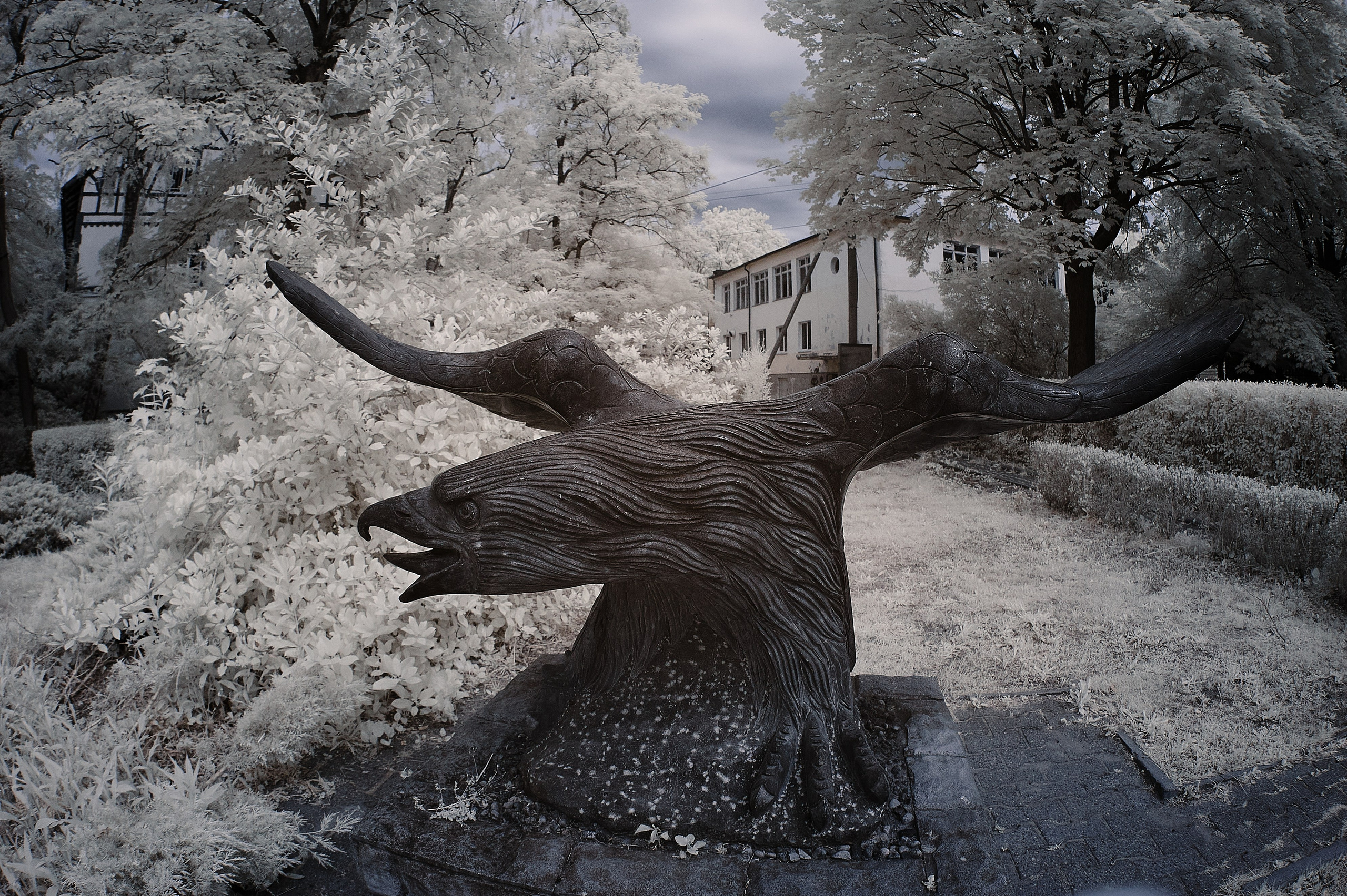 Infrared Photography. Solofilms