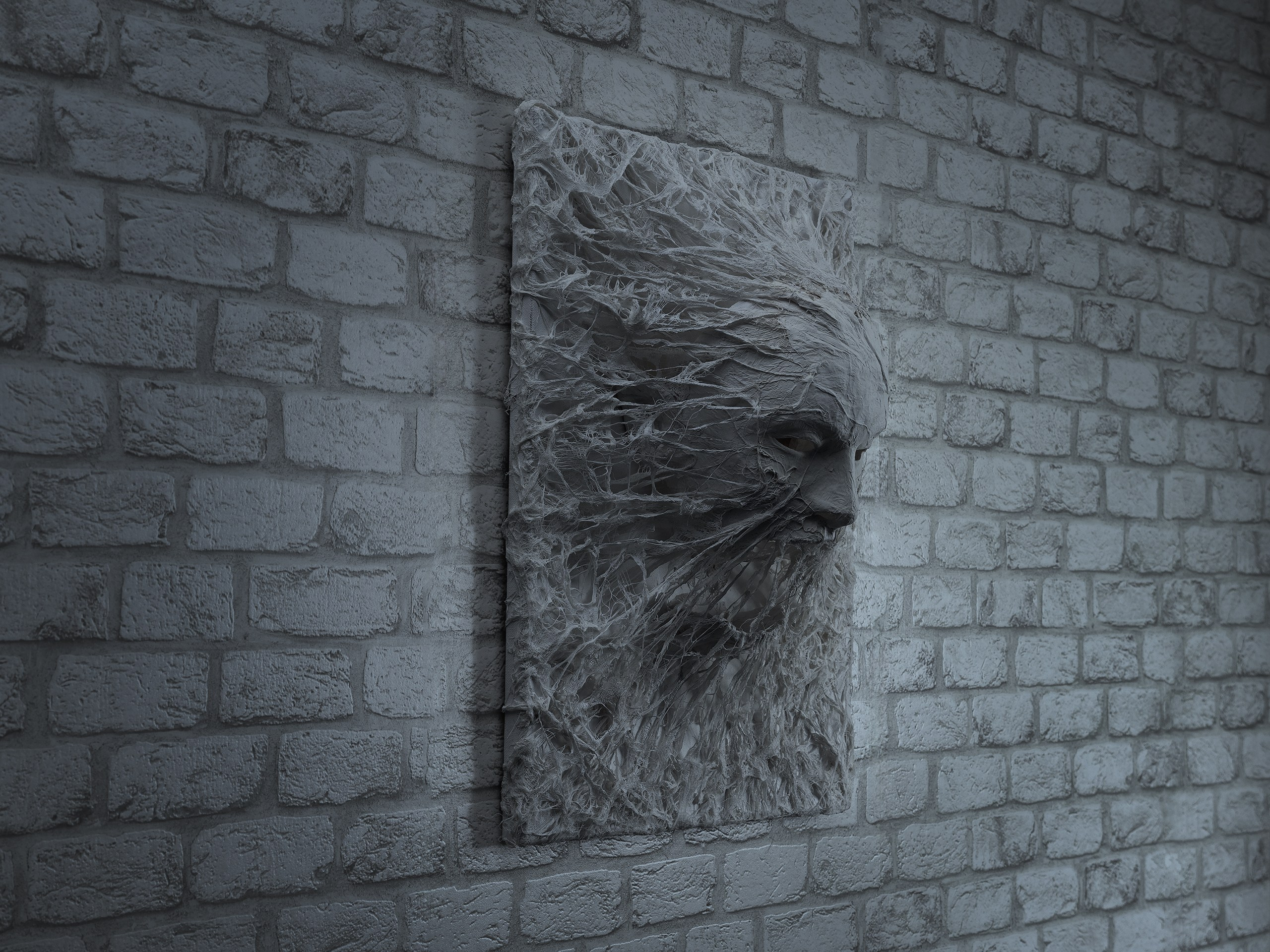 Картины. Фотограф анималист Никита Натальный