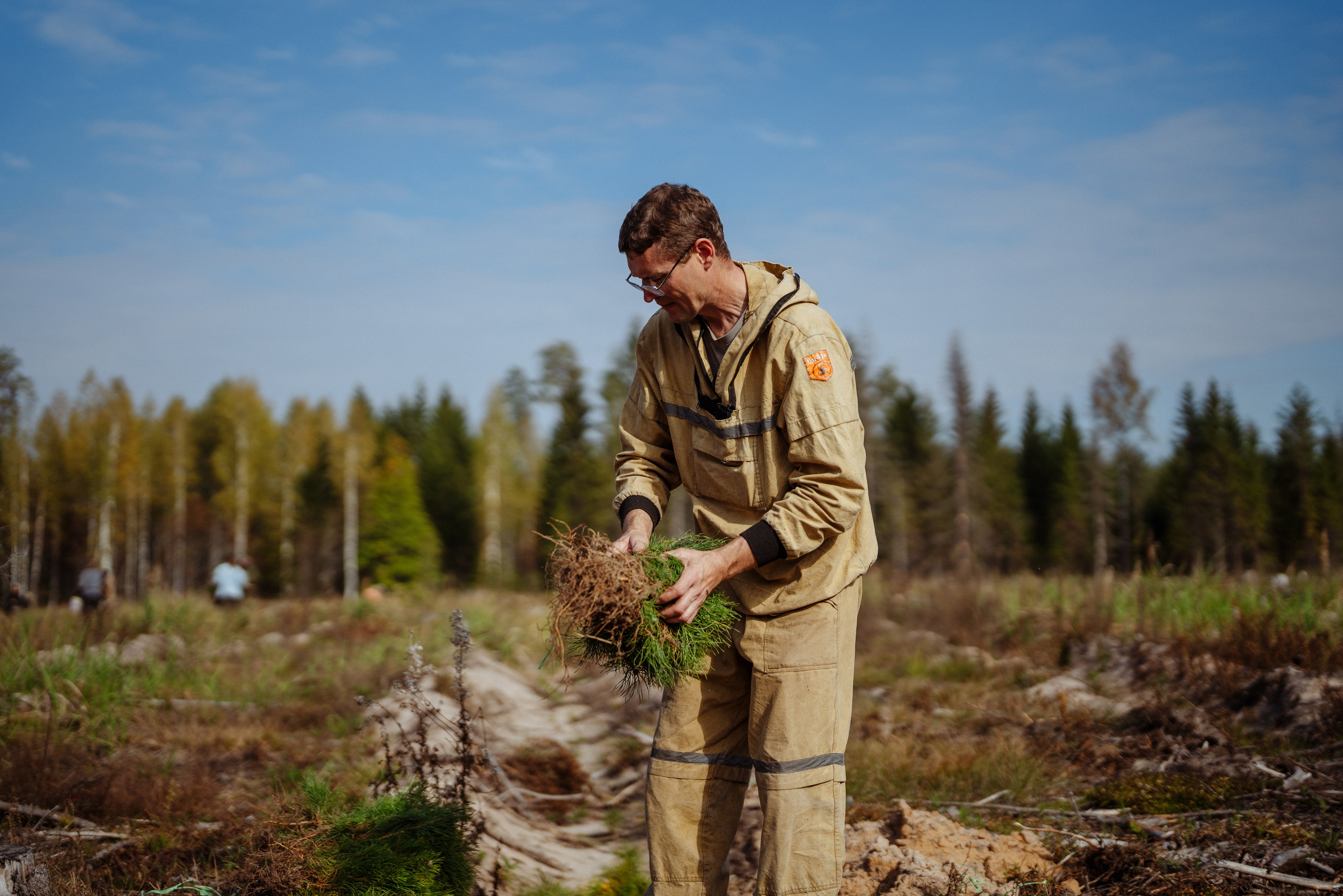 СБЕР · ЭКА · Посадка сеянцев. Владимир Вершинин, тот самый свадебный видеограф