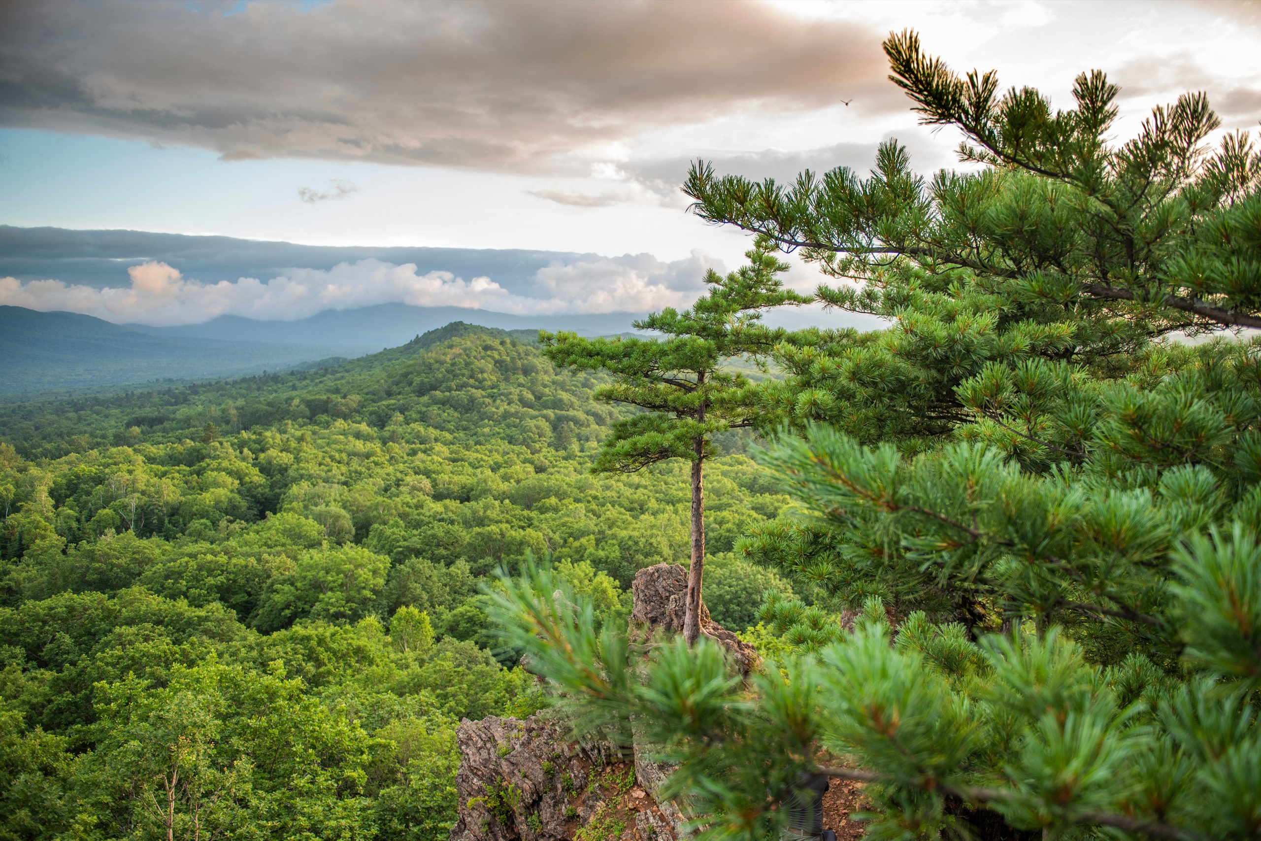 Природа Хабаровского края. Команда фотографов Кристины Ивановой