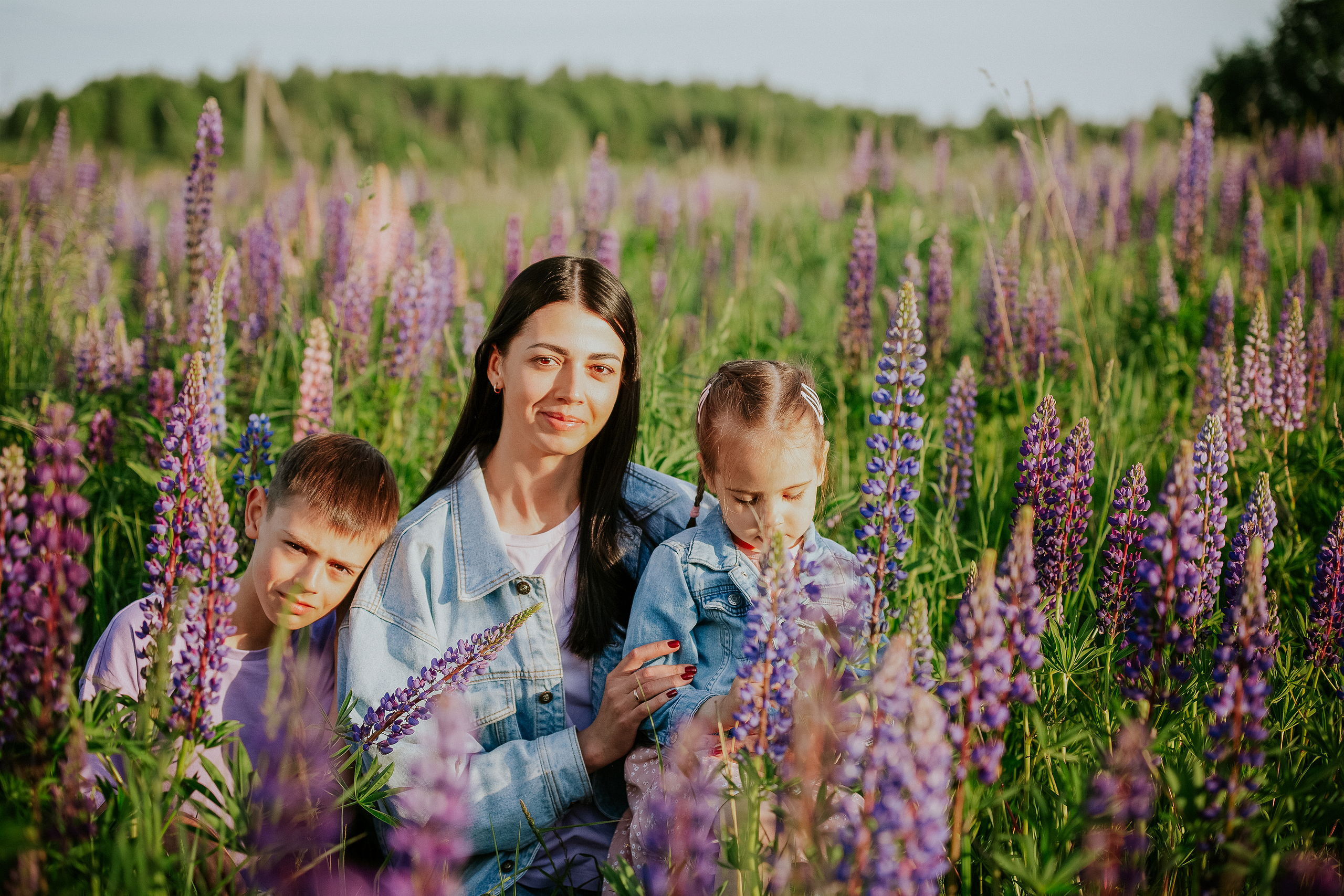 Семья в люпиновом поле