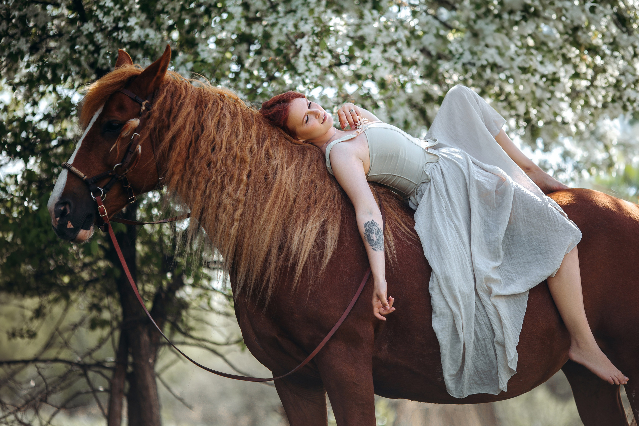 Весенние цветения. Анна Молчанова конный фотограф в Тюмени | фотосессии с лошадьми Тюмень