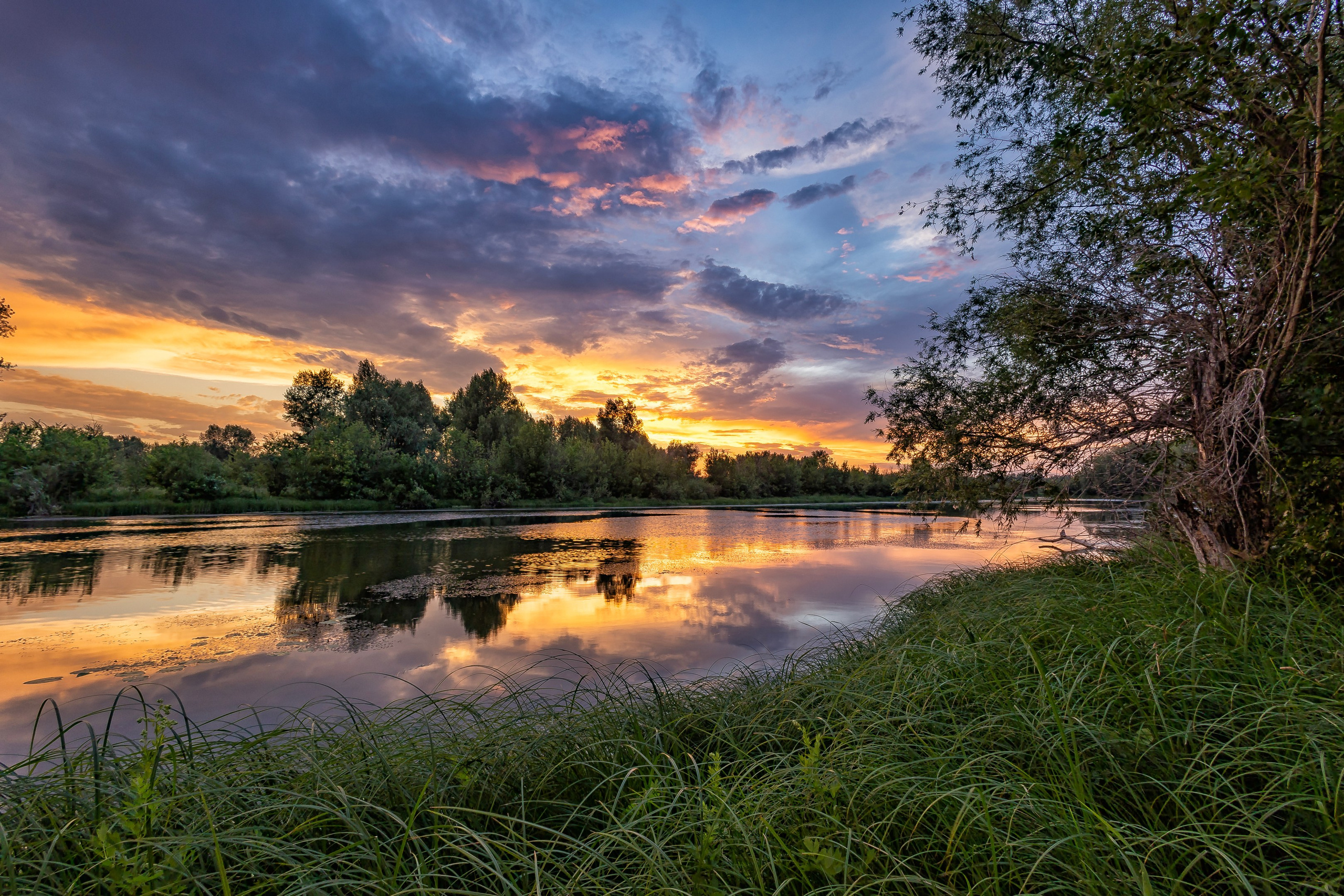 Природа. Макс По — фото и видео съемки любого формата
