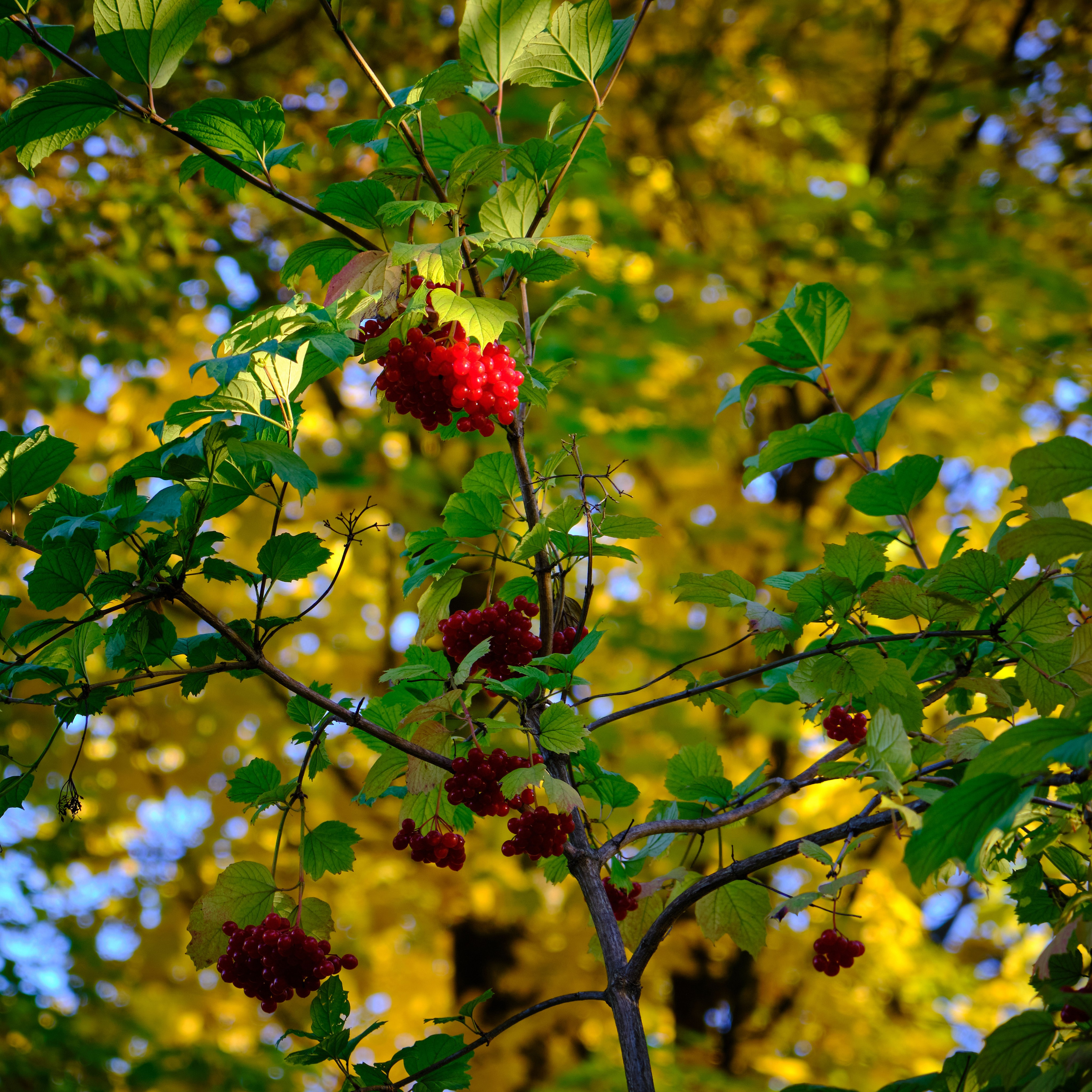 Времена года. Пейзажи Крайнего Севера. Баренцево море, Рыбачий, Средний, Немецкий