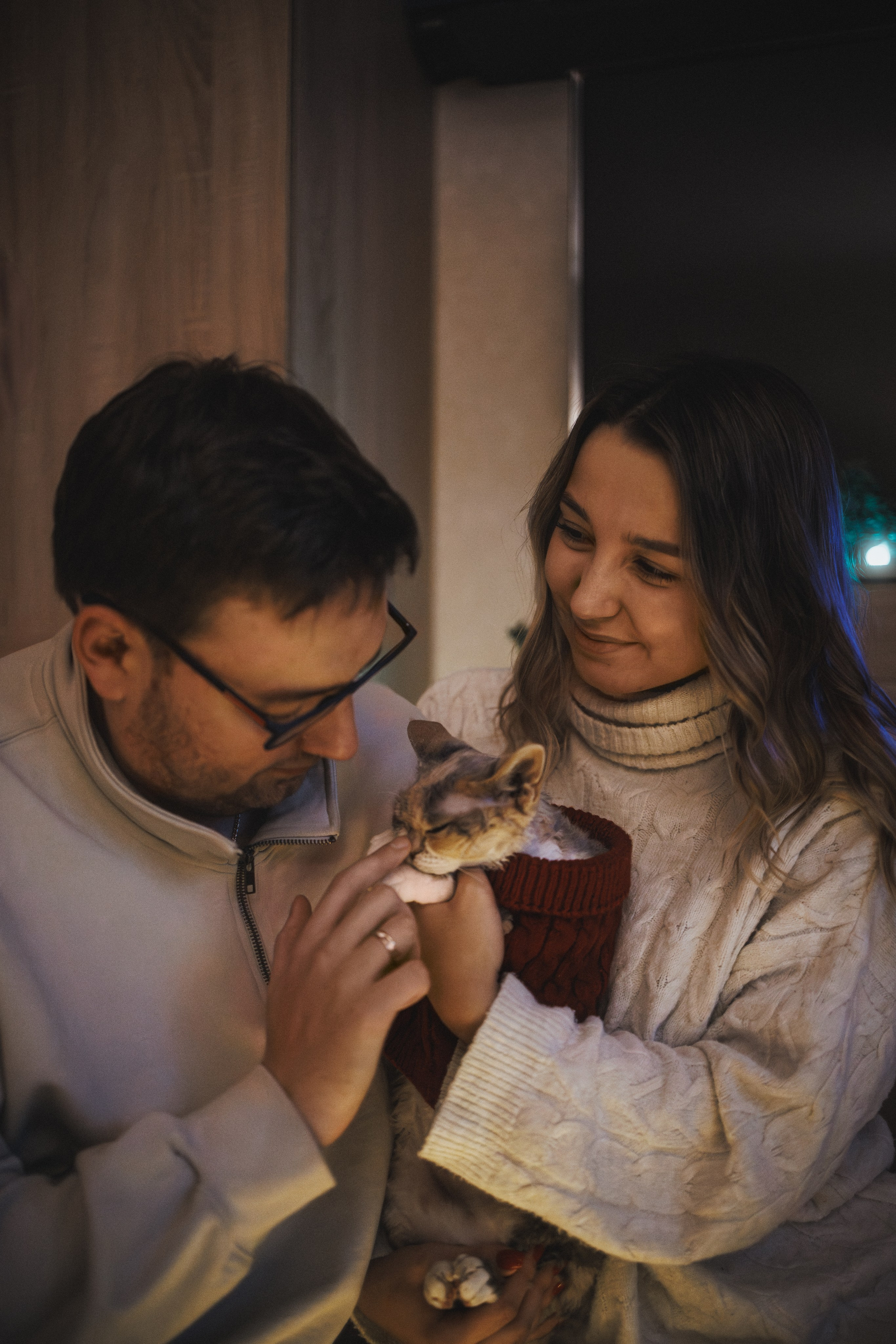 Домашняя новогодняя. Фотограф Анималист в Москве Анастасия Жучкова