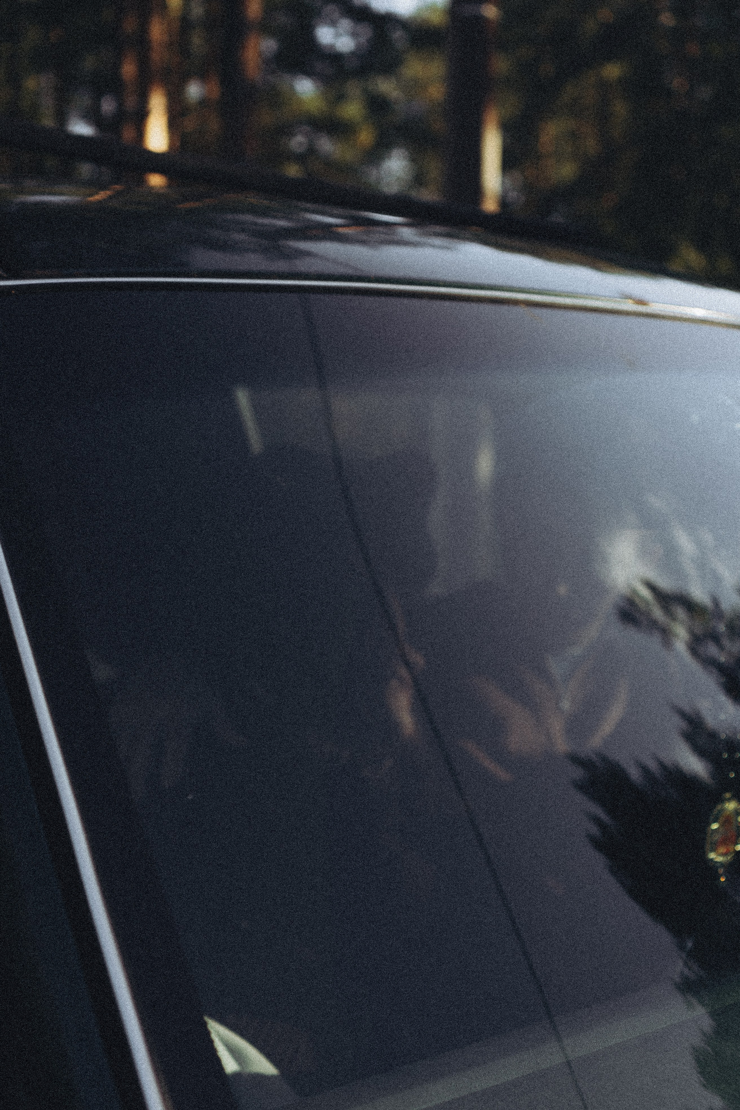 Прогулка по Финскому заливу. Профессиональный фотограф, Санкт-Петербург — Виктория Богомолова