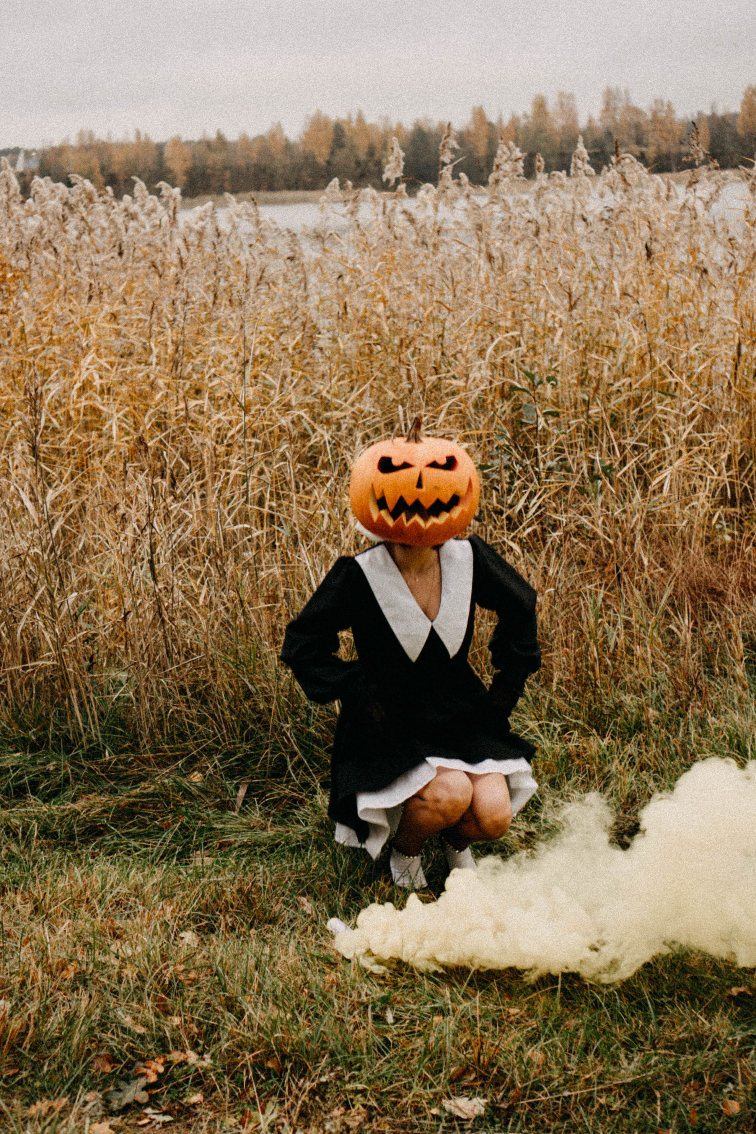 Осеняя. Профессиональный фотограф, Санкт-Петербург — Виктория Богомолова