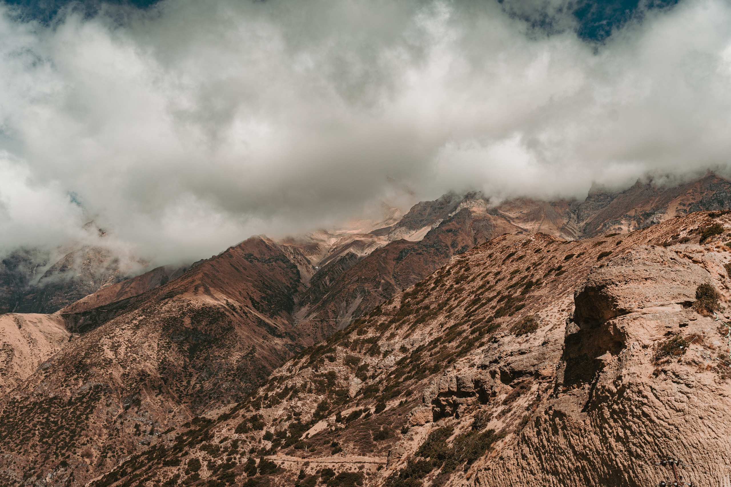 Королевство Мустанг. Dmitry Ippolitov