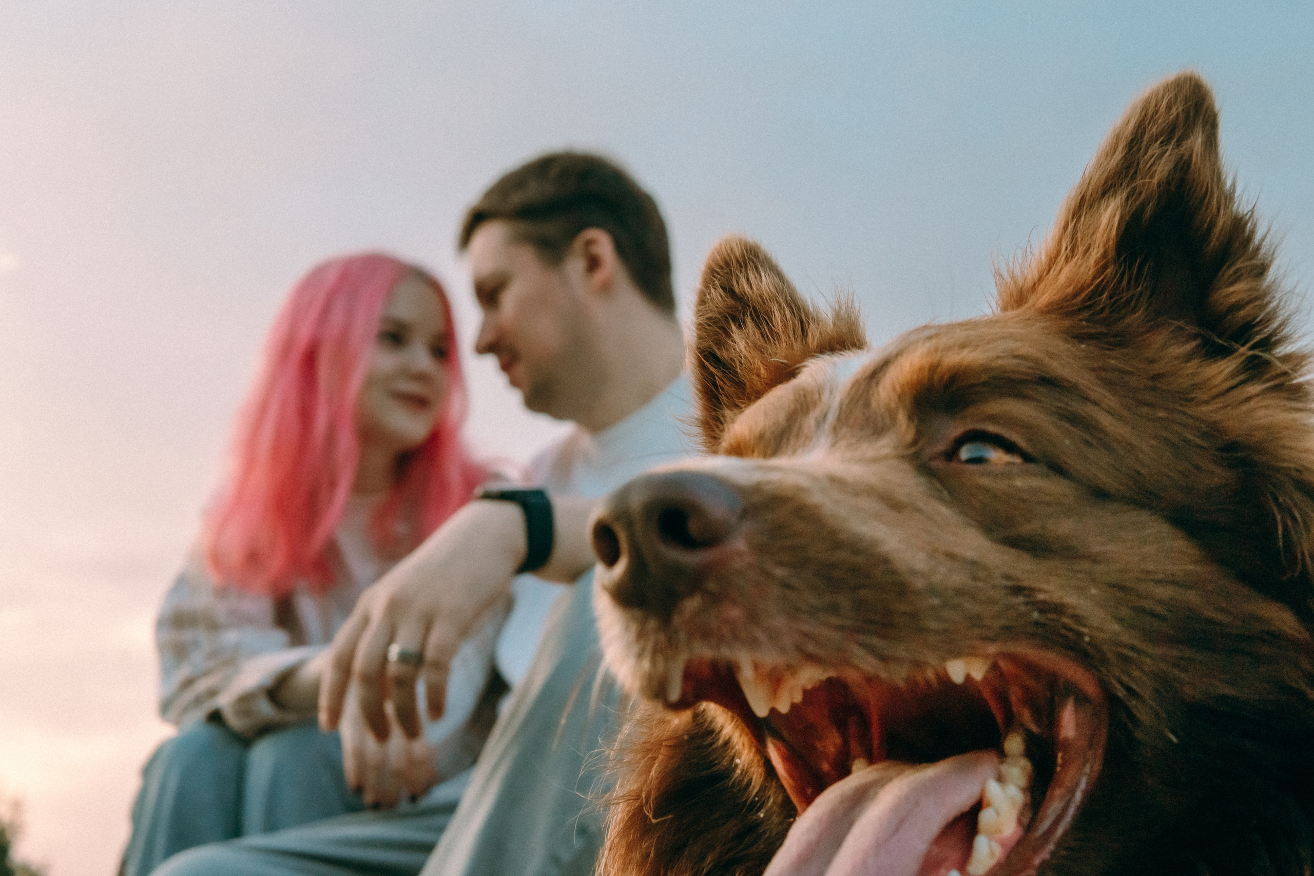 Виолетта, Лила и Питер. Фотограф-анималист Ксения Воробьева, Москва