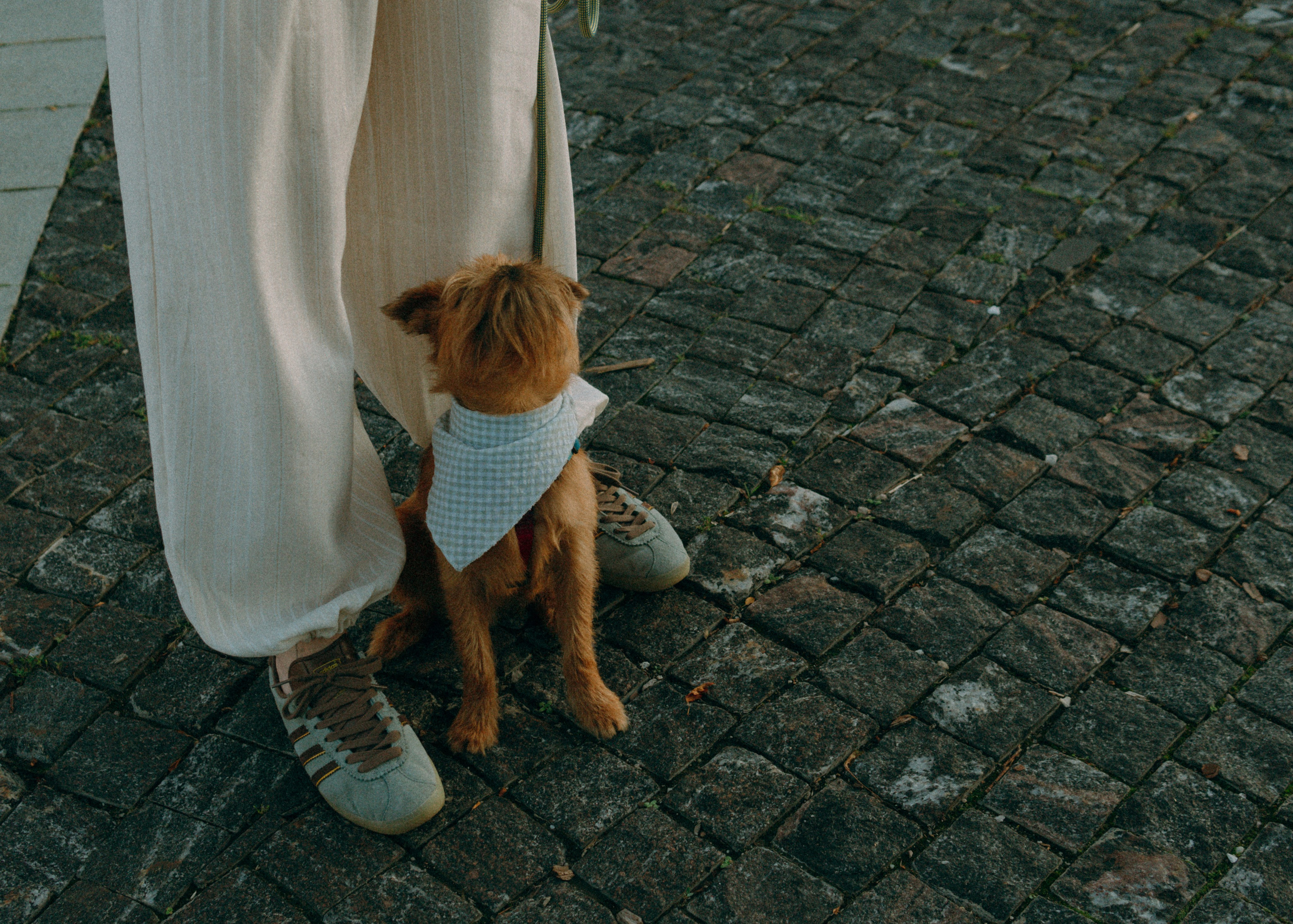 Лена и Альфи. Фотограф-анималист Ксения Воробьева, Москва