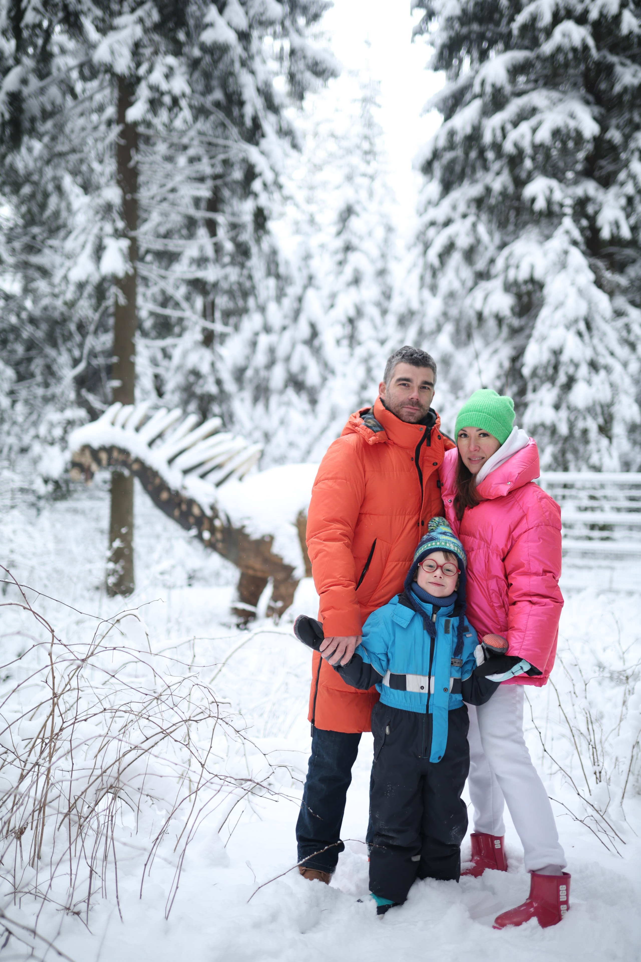 Дино парк. Фотосервис курорта «Охта Парк­­­»
